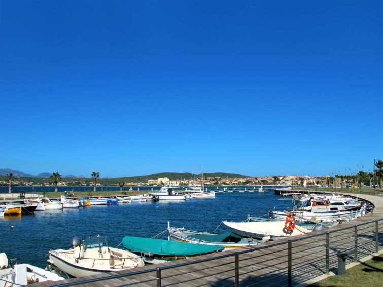Photo of La Delfina
