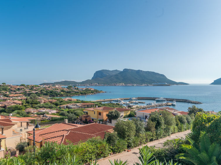 Photo of Ginestra