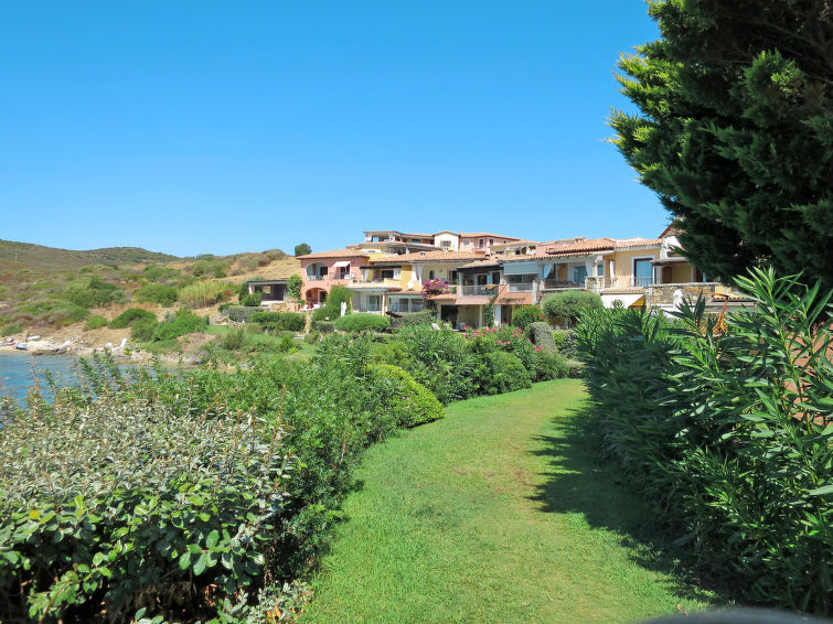 Photo of Ginestra