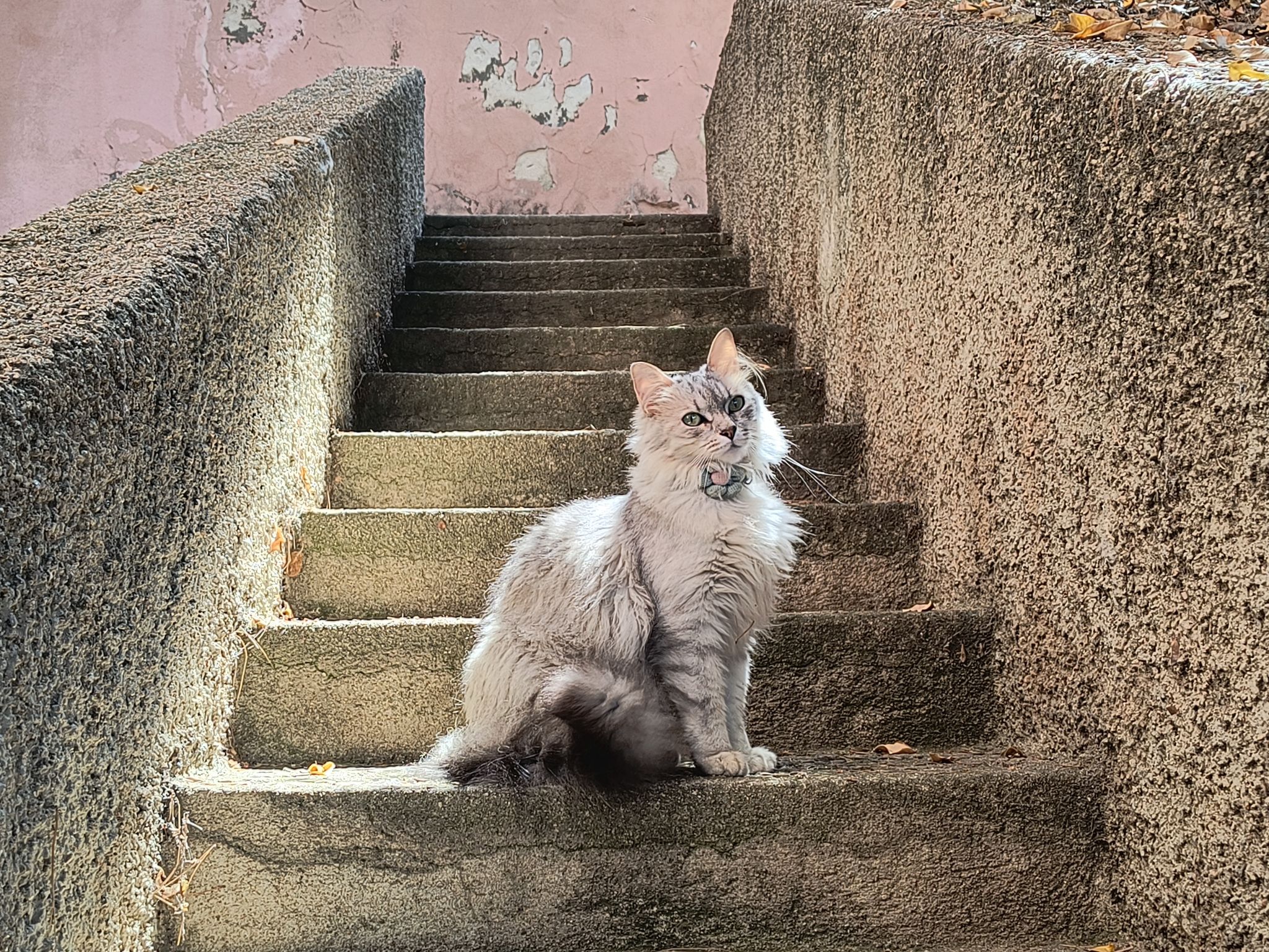 Poltu Cuadu-Outside
