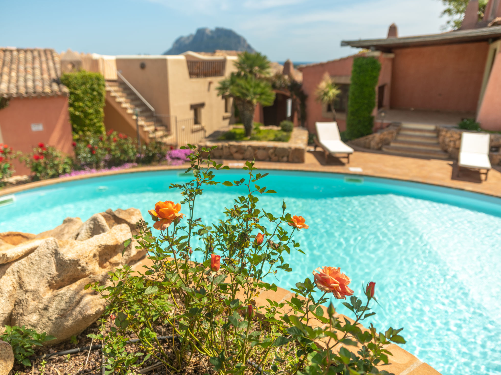 Centraal gelegen vakantiehuis in Porto San Paolo voor 5 personen · 65 m² - foto 30