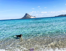 Rustieke houten boswoning vlakbij het strand van Porto San Paolo - thumbnail 5