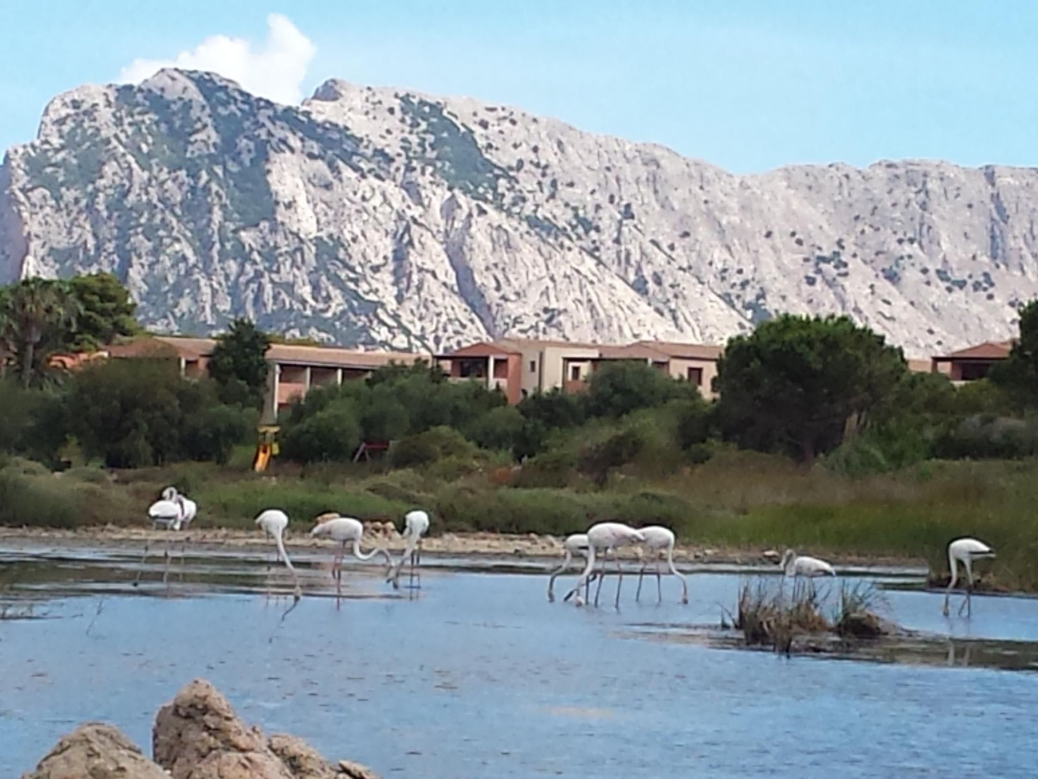 'Casa Monte Petrosu-Image-tags.info