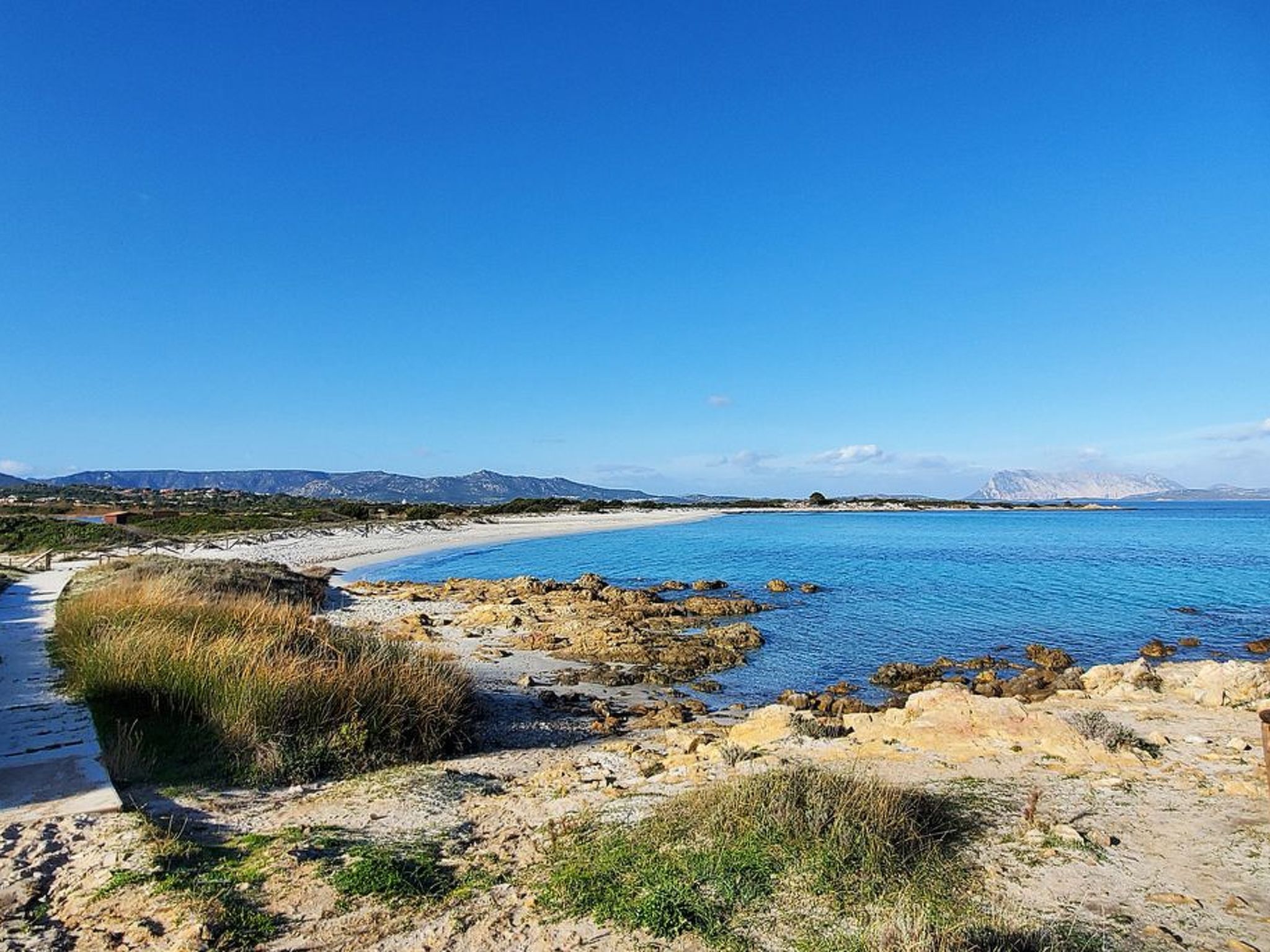 Photo of Sato-AP35-3-A