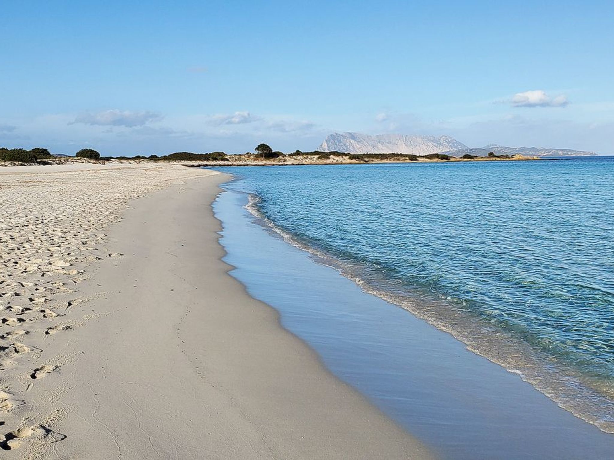 Photo of Sato-AP35-3-A