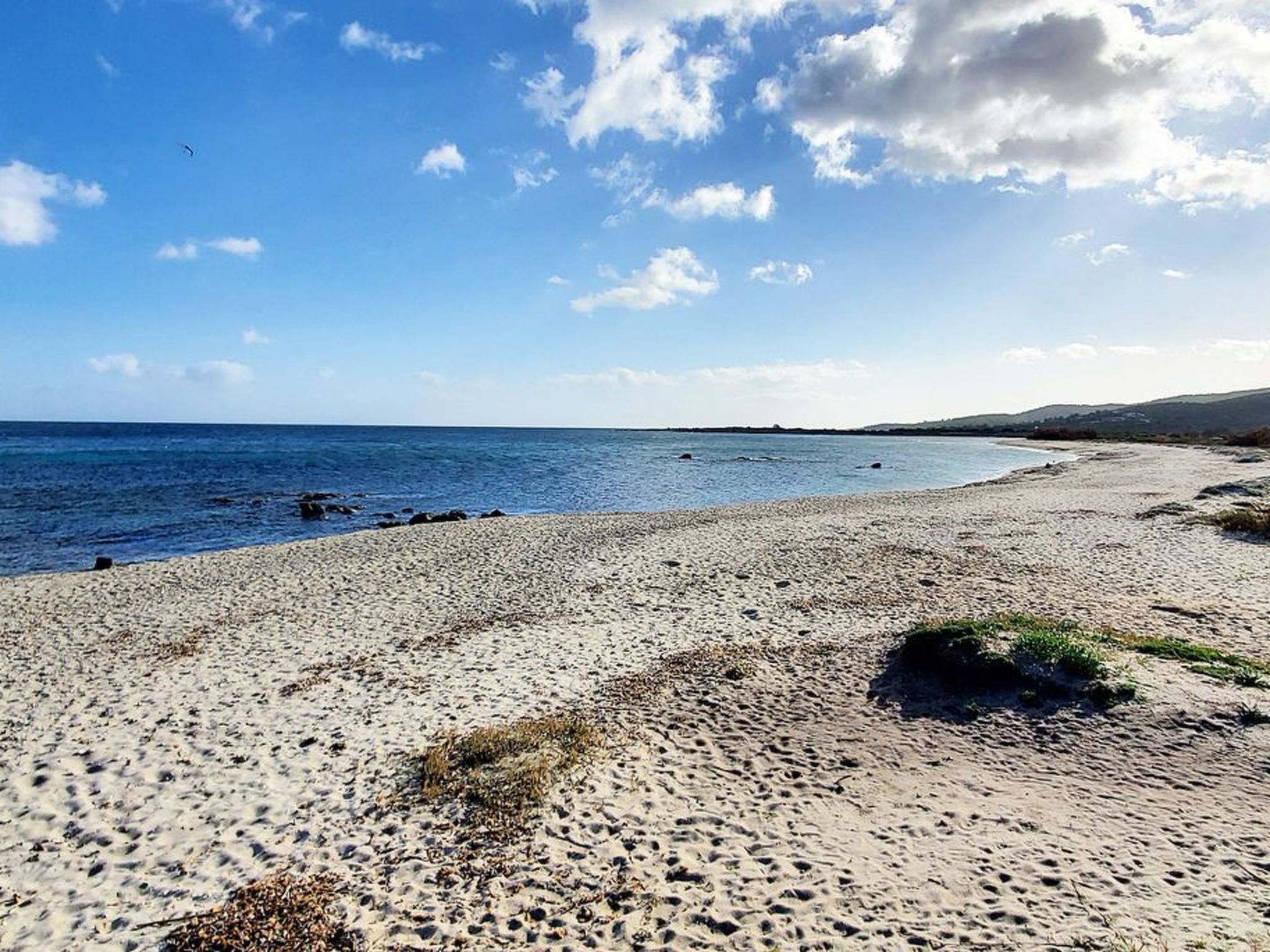 Photo of Sato-AP35-3-A