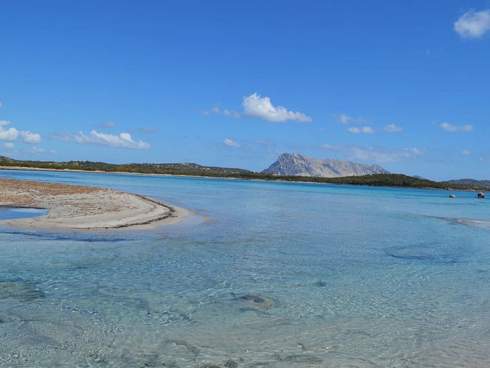 Vakantiehuis met privé zwembad in San Teodoro (Italië) voor 9 personen