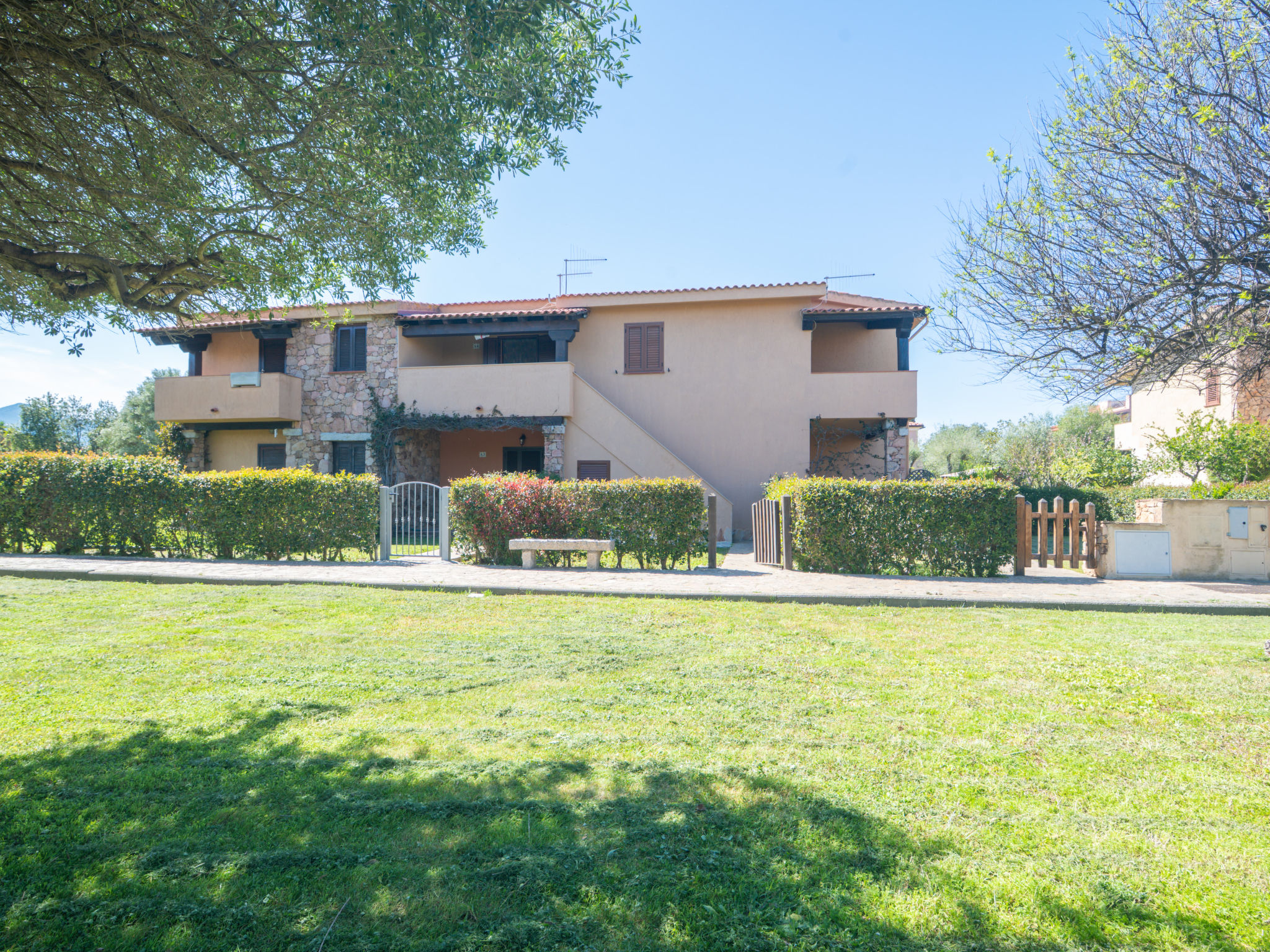 Photo of Perla San Teo