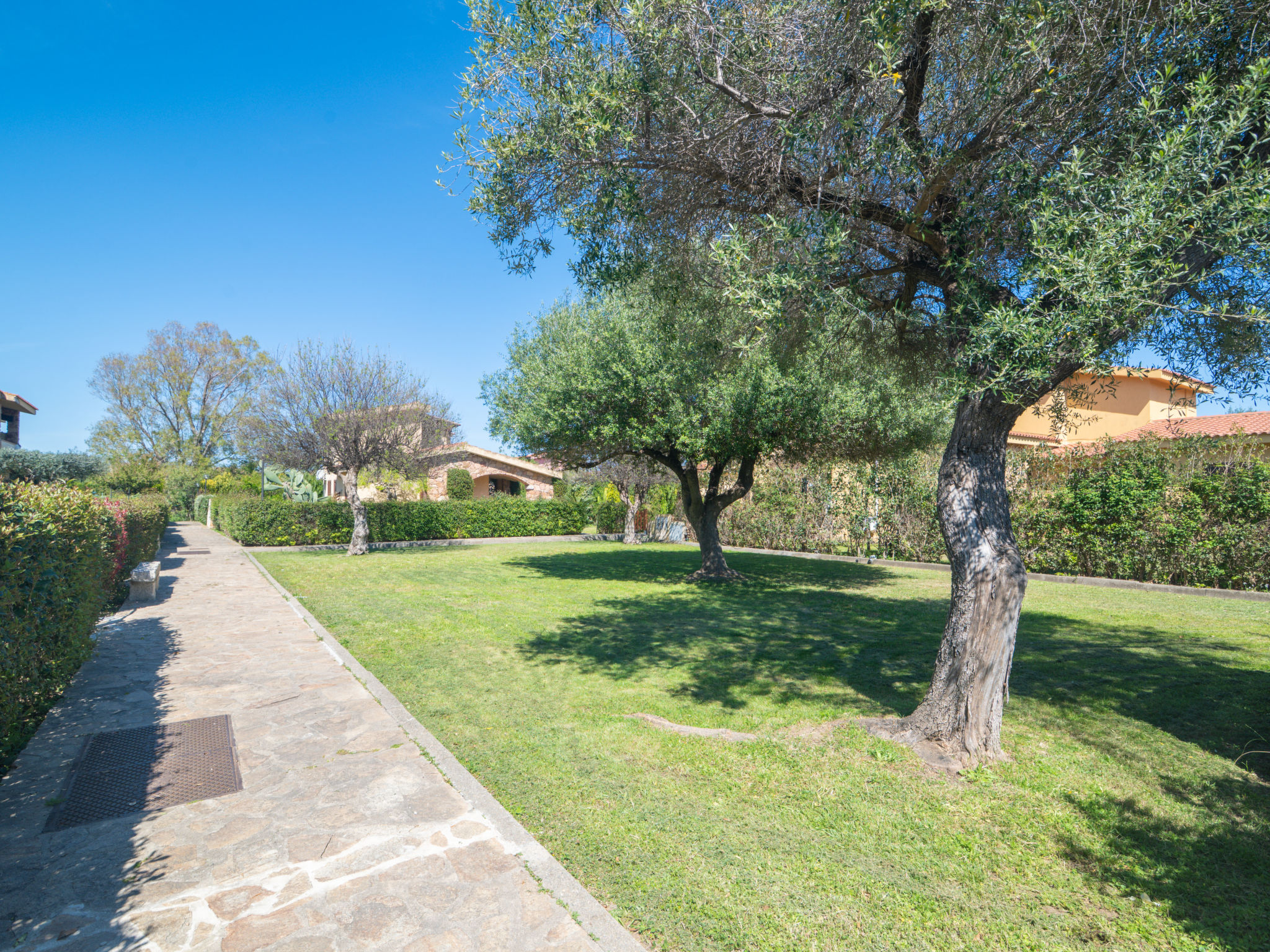 Photo of Perla San Teo