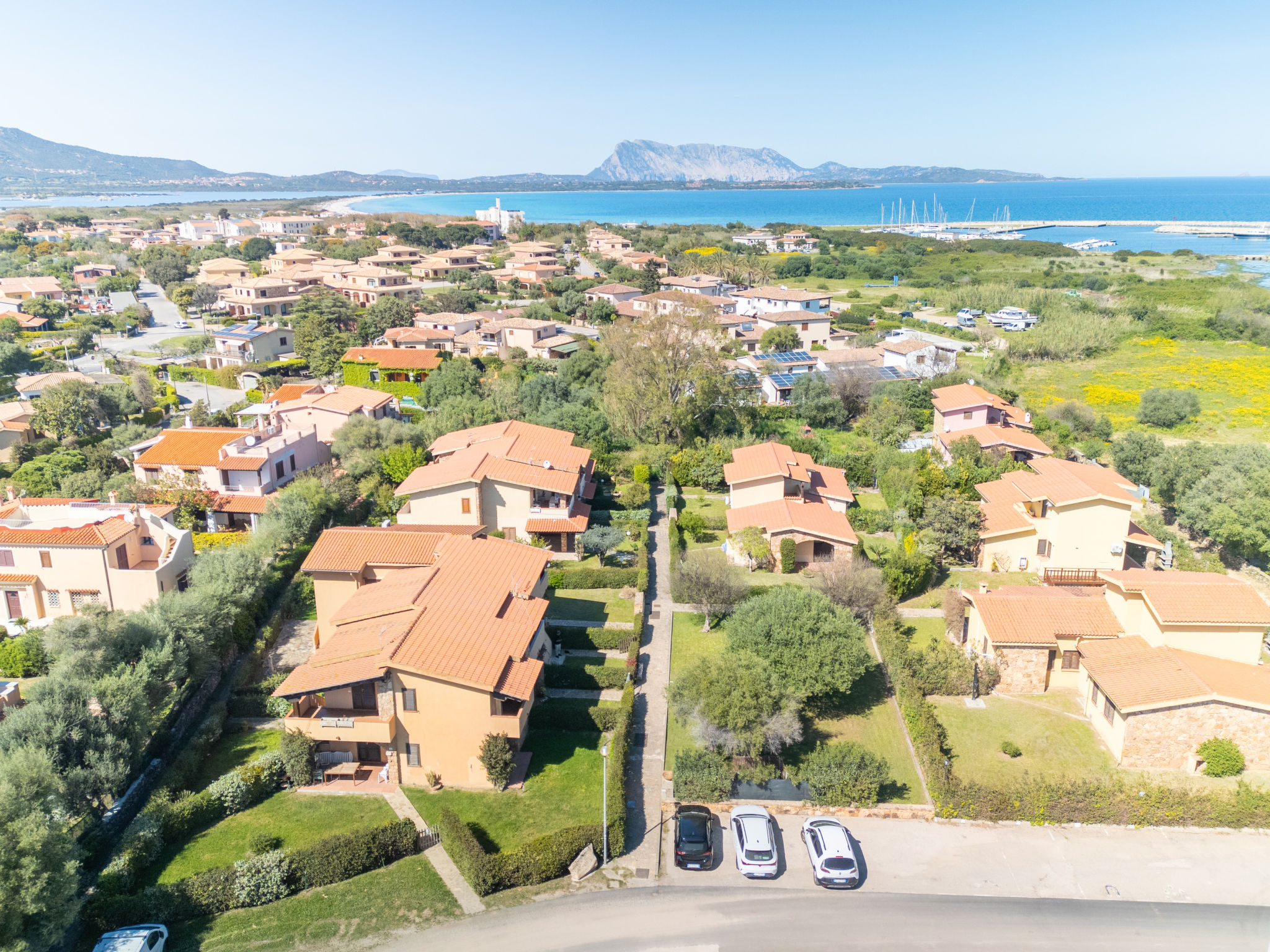 Photo of Perla San Teo