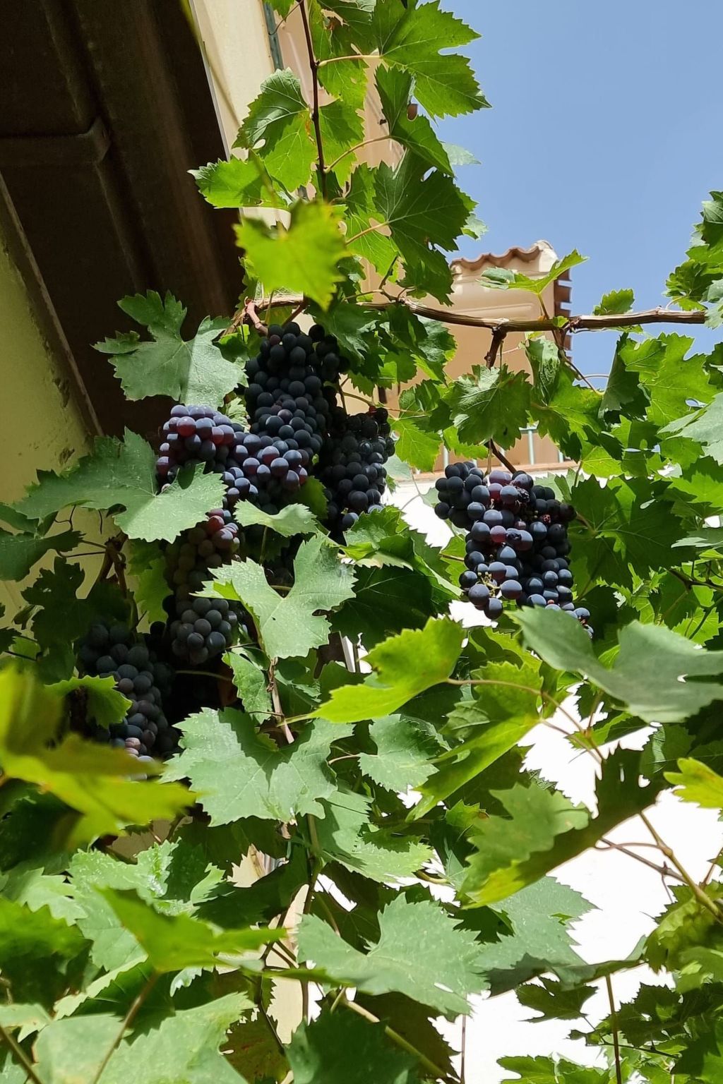 Mit Kamin, Terrasse und Meerblick-Binnen