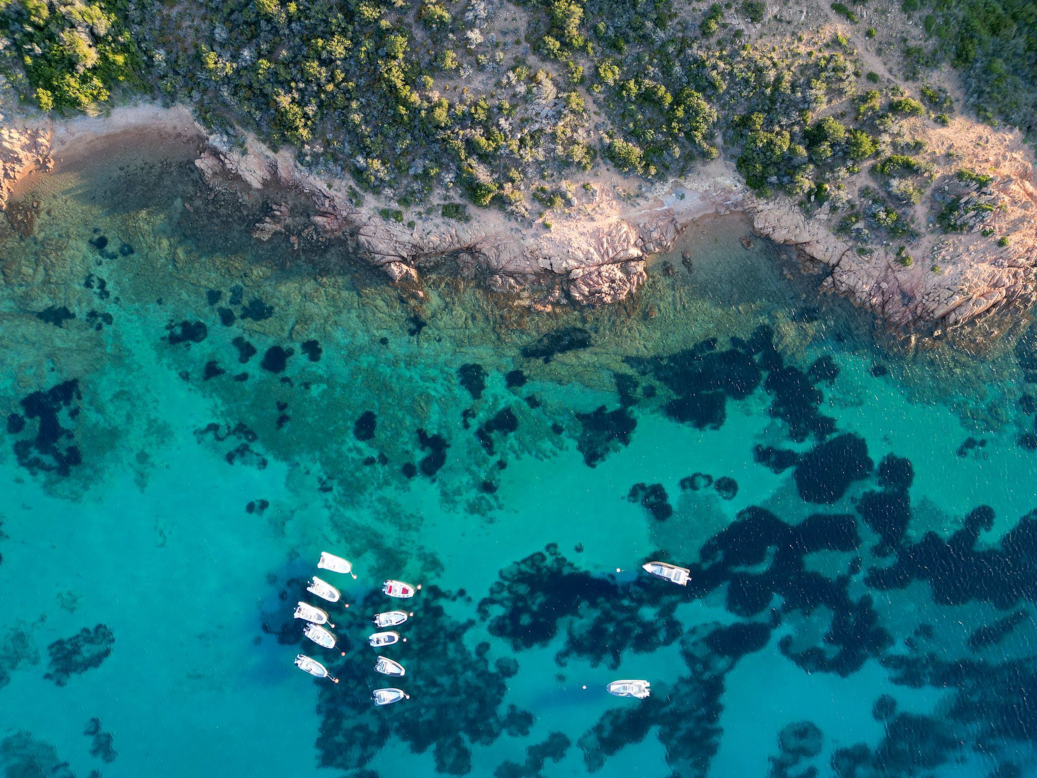 Blue Dawn. Eindrucksvolle Meersicht Coda Cavallo-Binnen