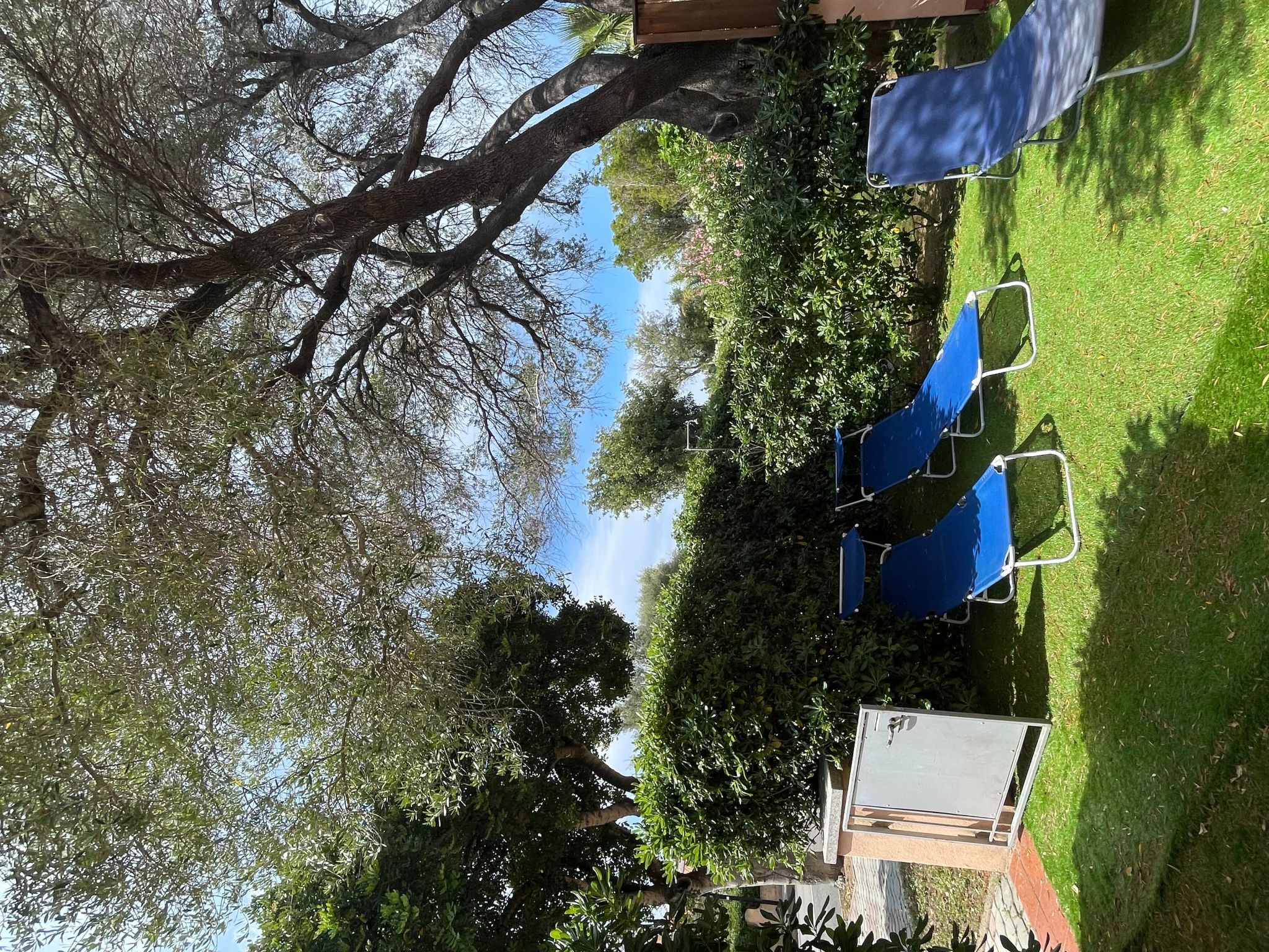 Wohnung "Alter Olivenbaum" mit Garten-Image-tags.info