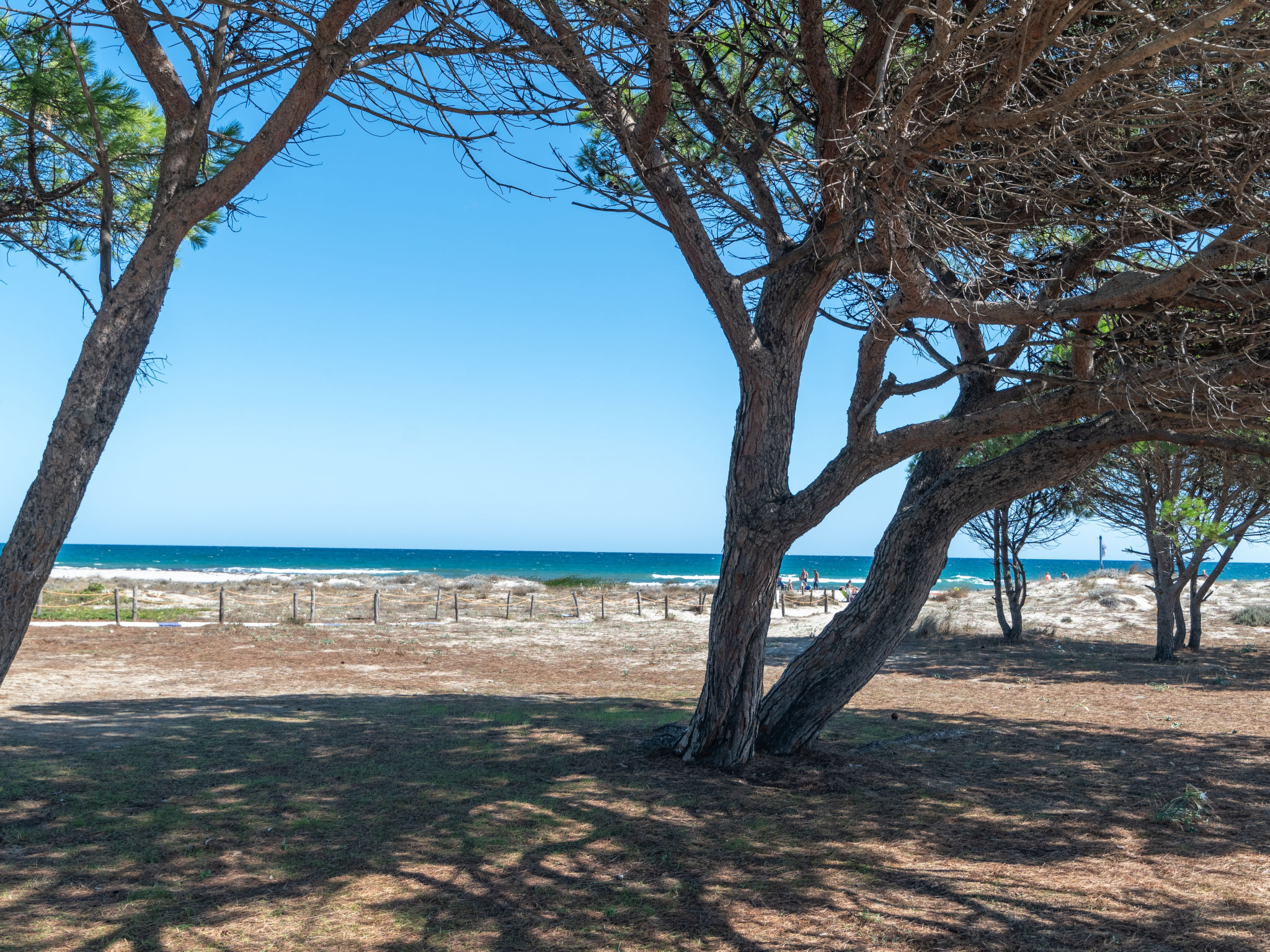 'H51 Family House-Area