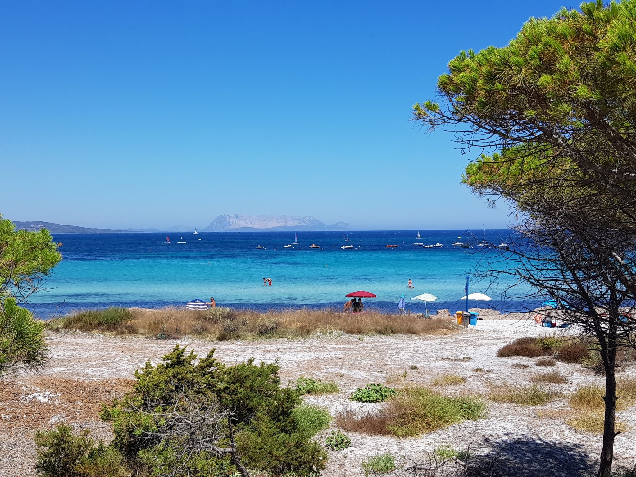 R Haus PuntoCasaBudoni-Area