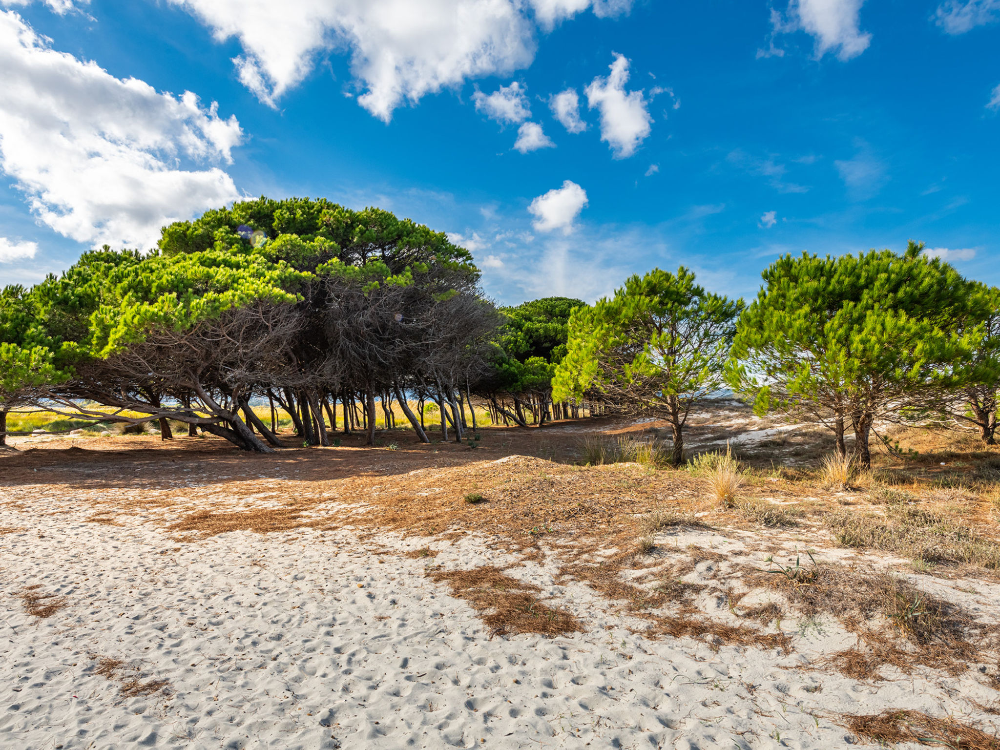 Wohnung in La Caletta mit Grill-Omgeving