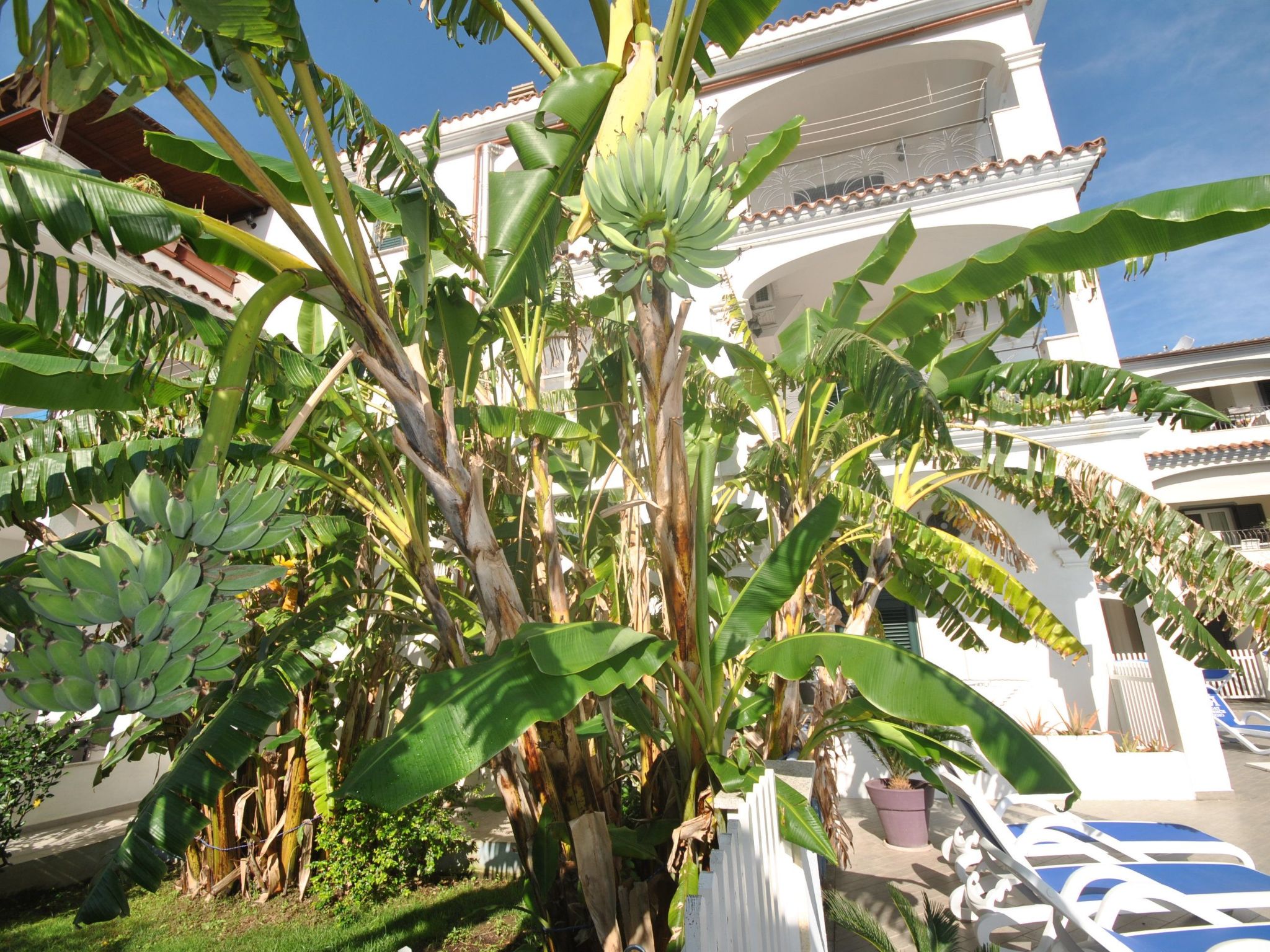 Rifugio-Image-tags.info