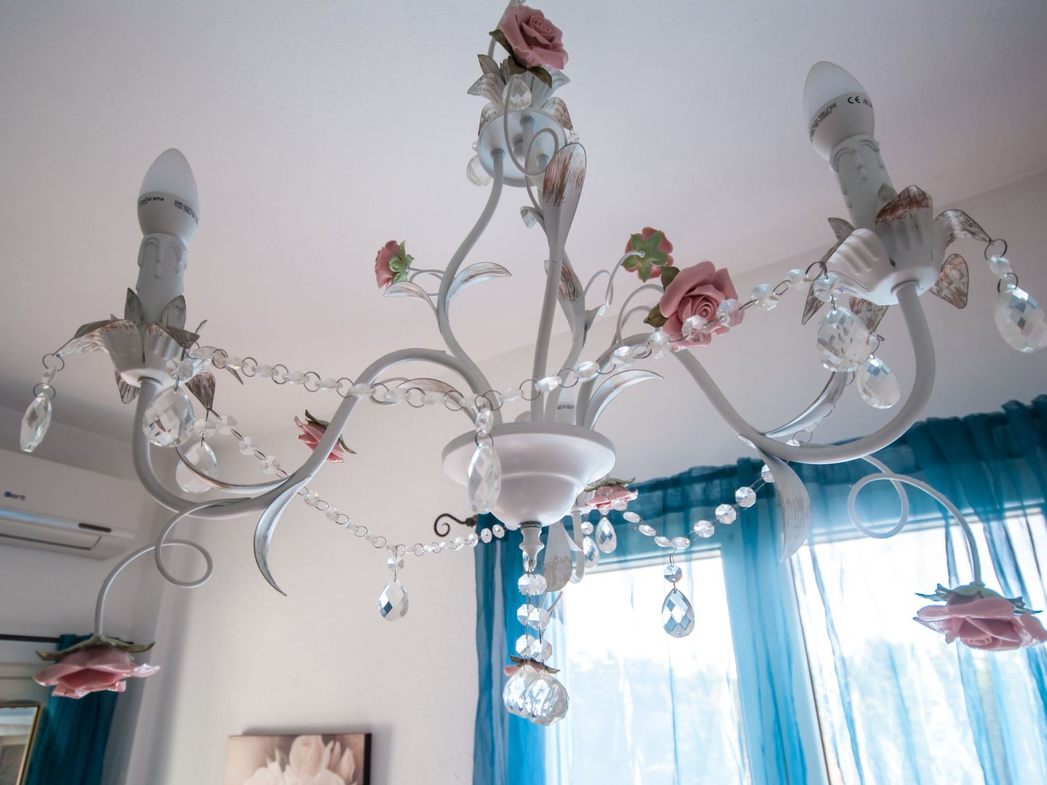 Palma-Image-tags.info