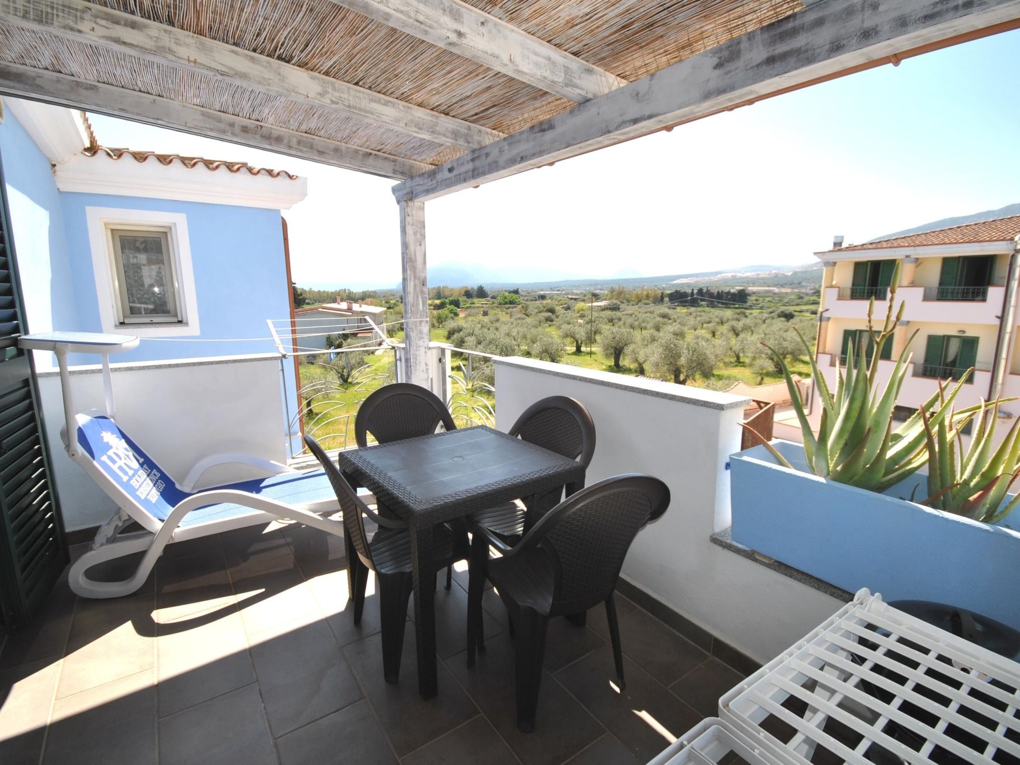 Aloe-Image-tags.info