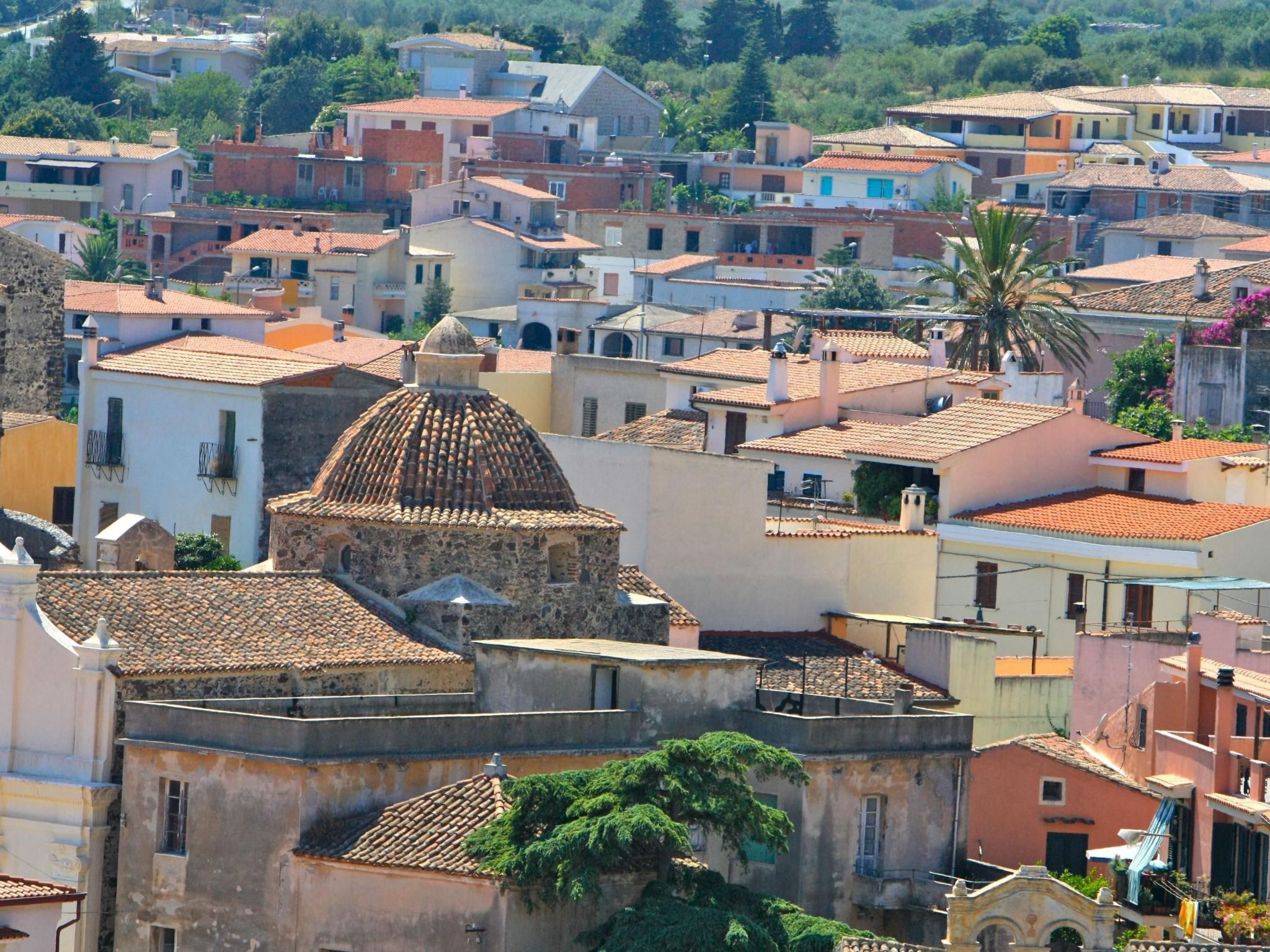 Aloe-Image-tags.info