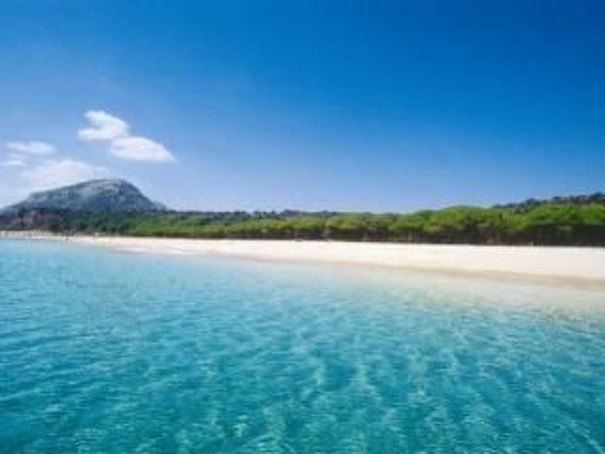 Aloe-Image-tags.info