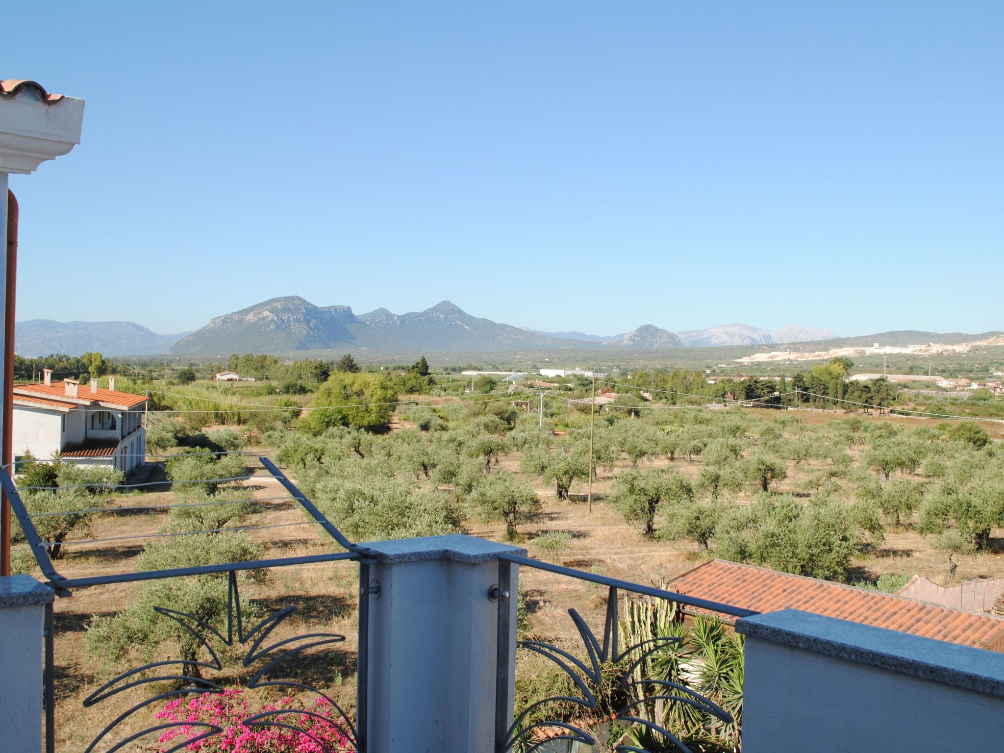 Aloe-Image-tags.info