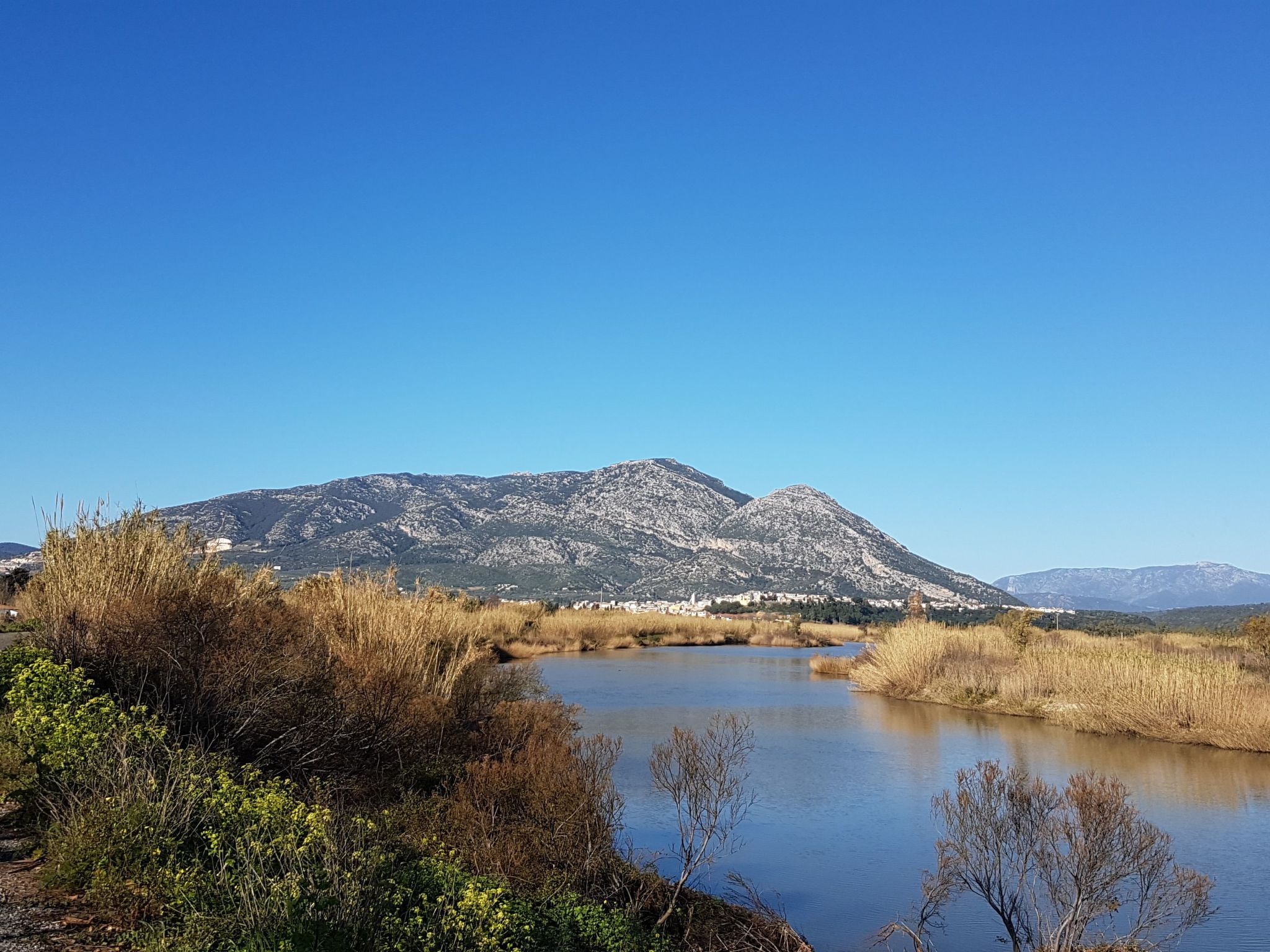 Arancio-Image-tags.info