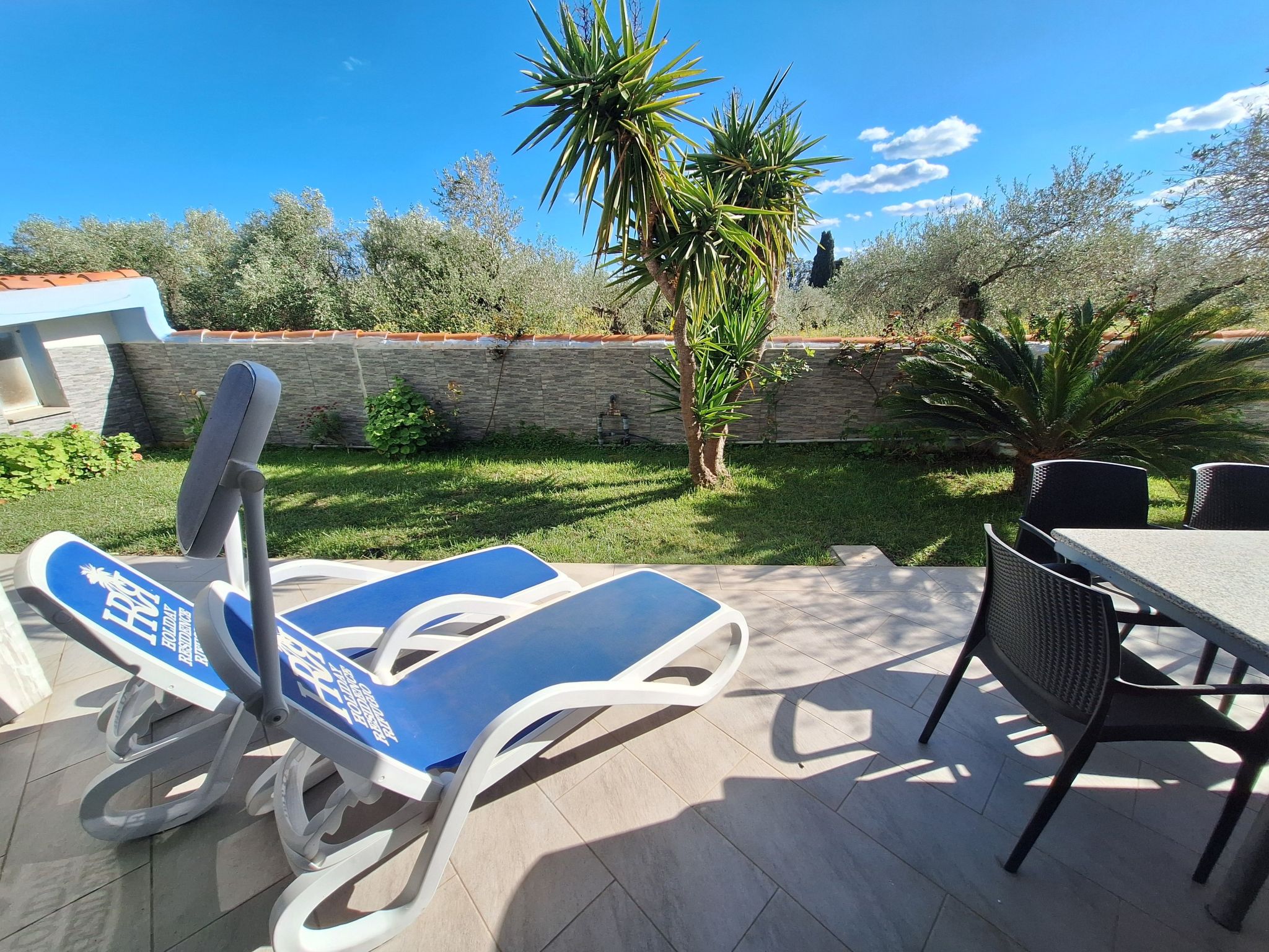 Mirto-Image-tags.info