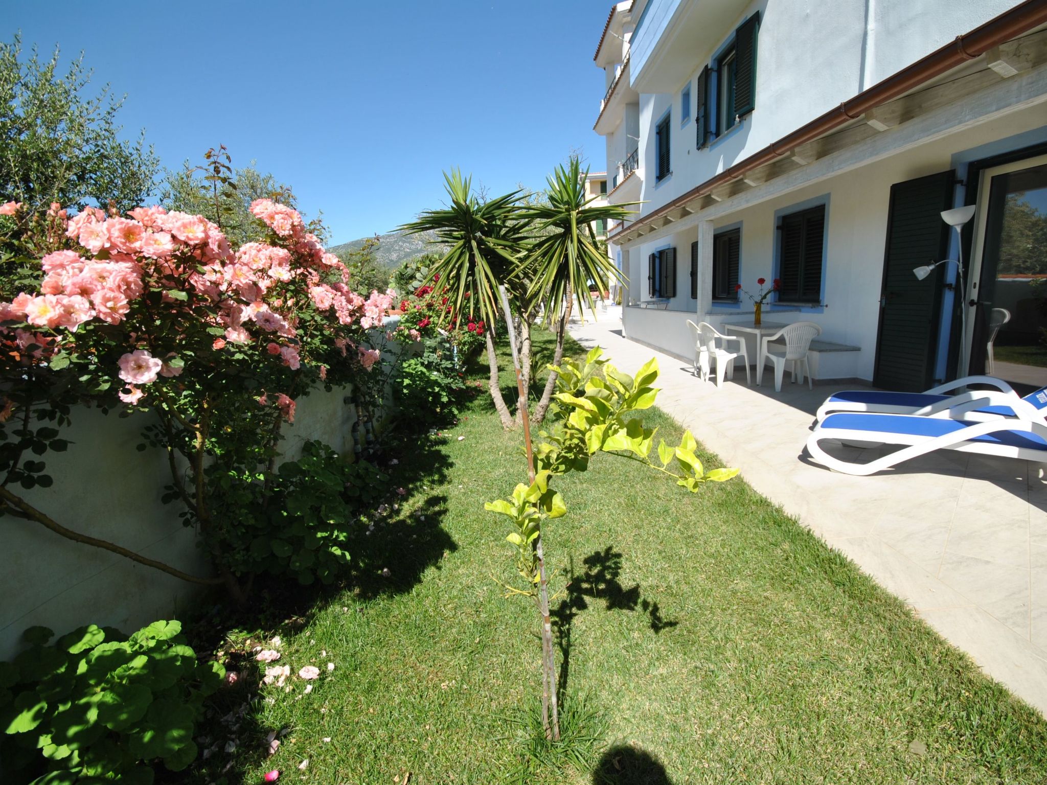 Mirto-Image-tags.info