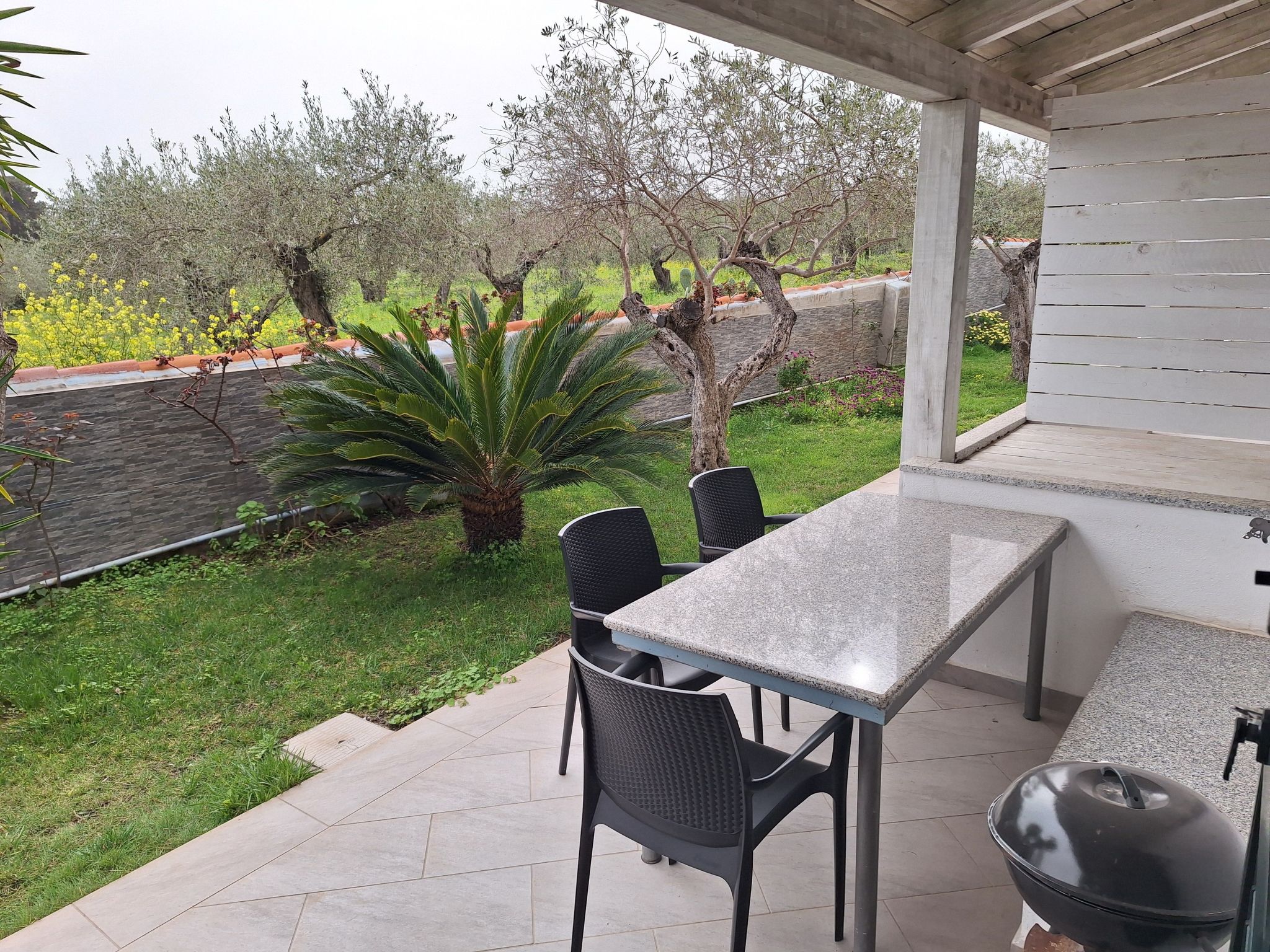 Mirto-Image-tags.info