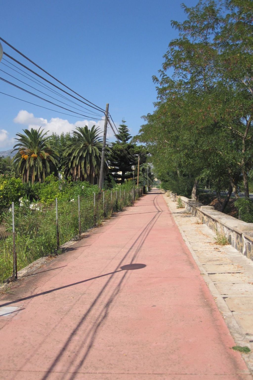 Mirto-Image-tags.info