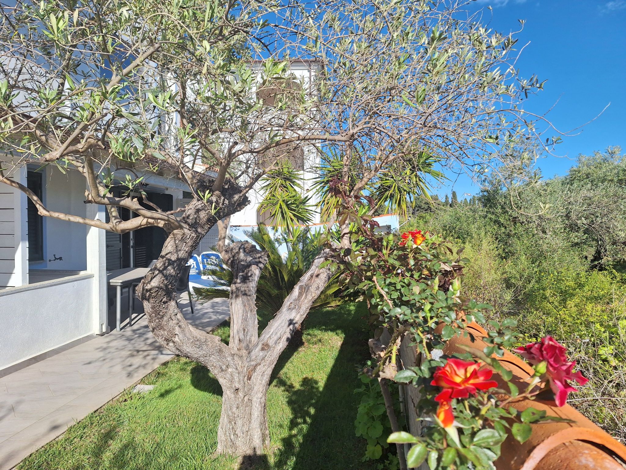 Mirto-Image-tags.info