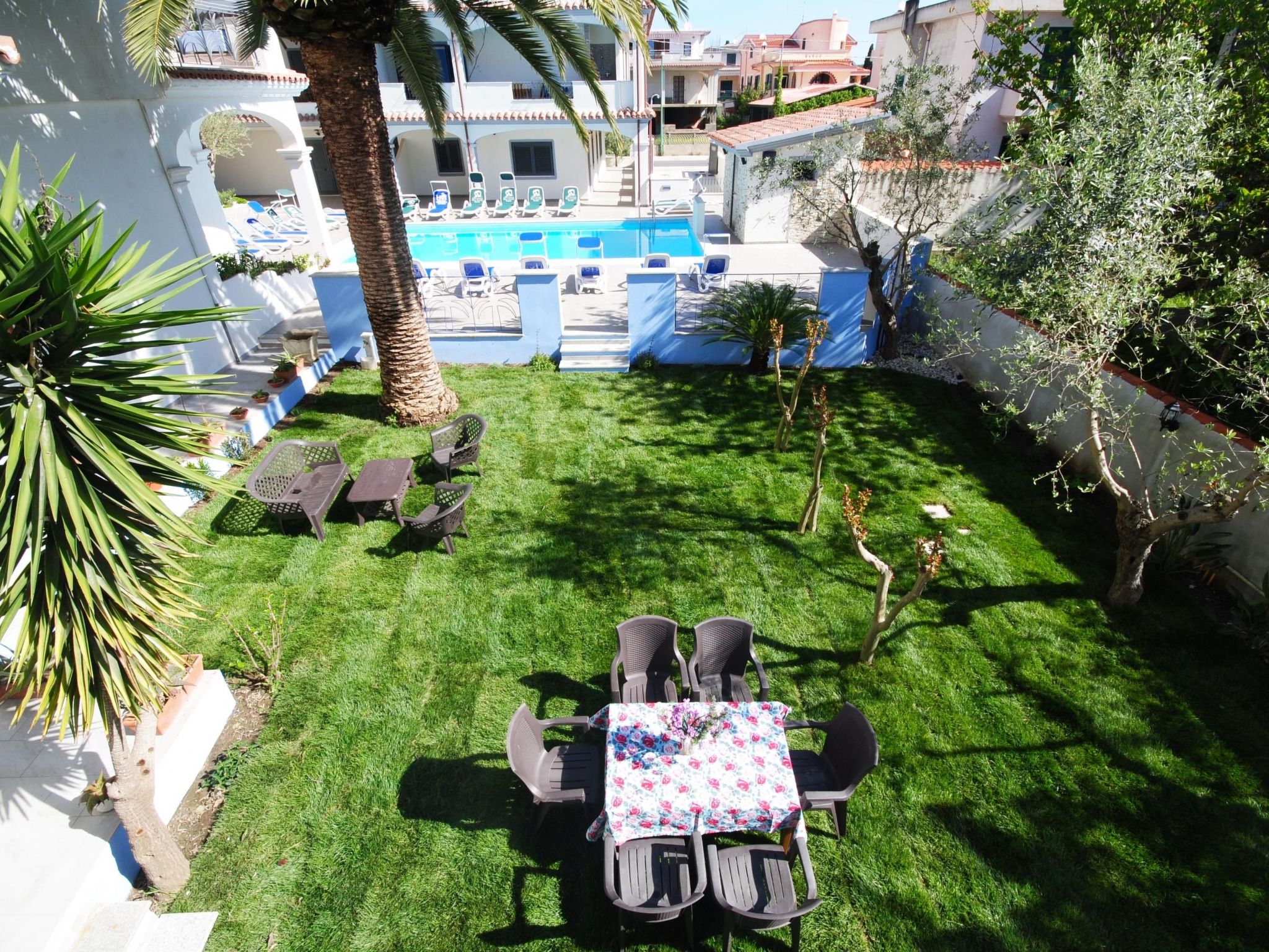 Oliveto-Image-tags.info