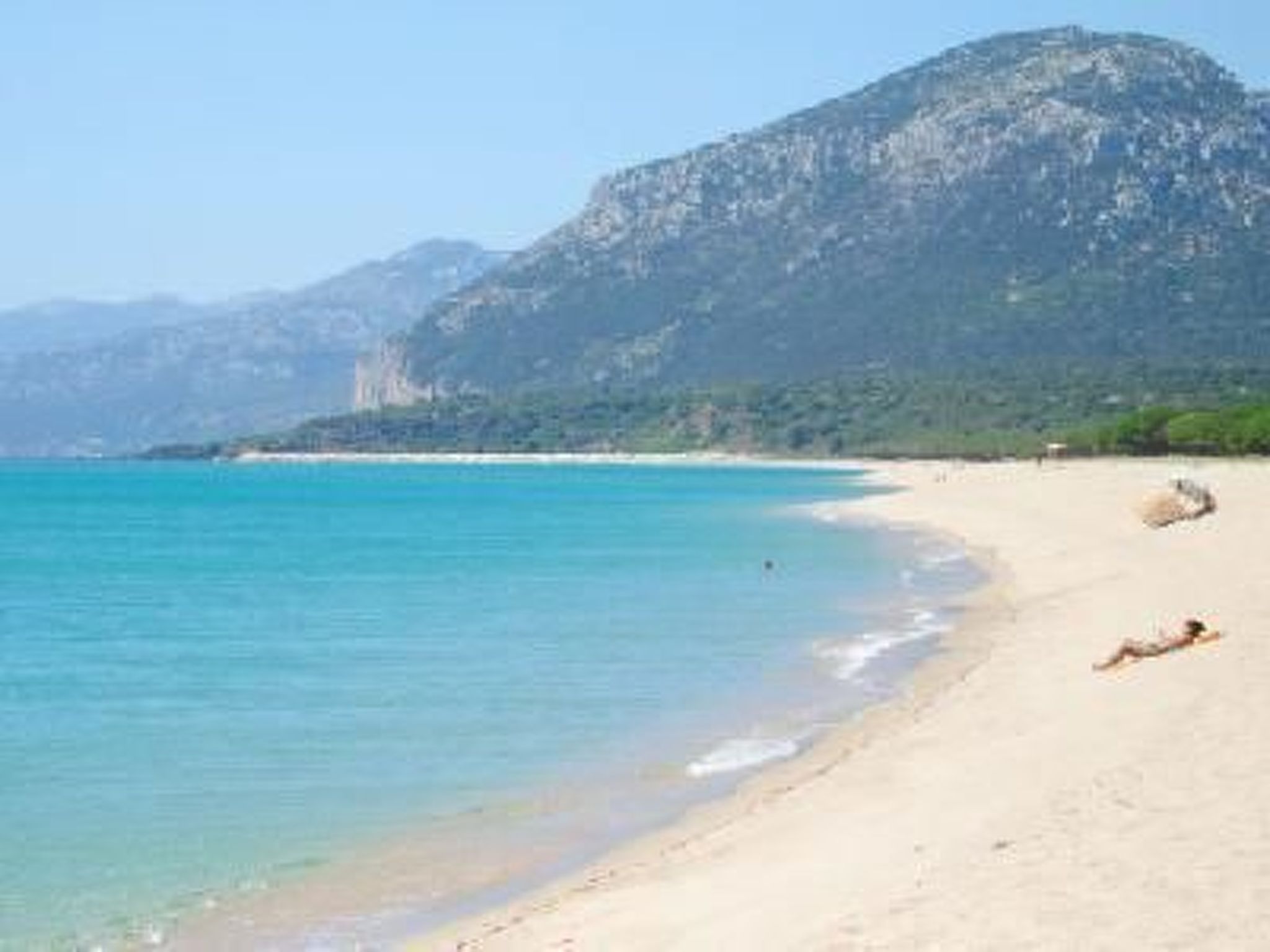 Agave-Image-tags.info