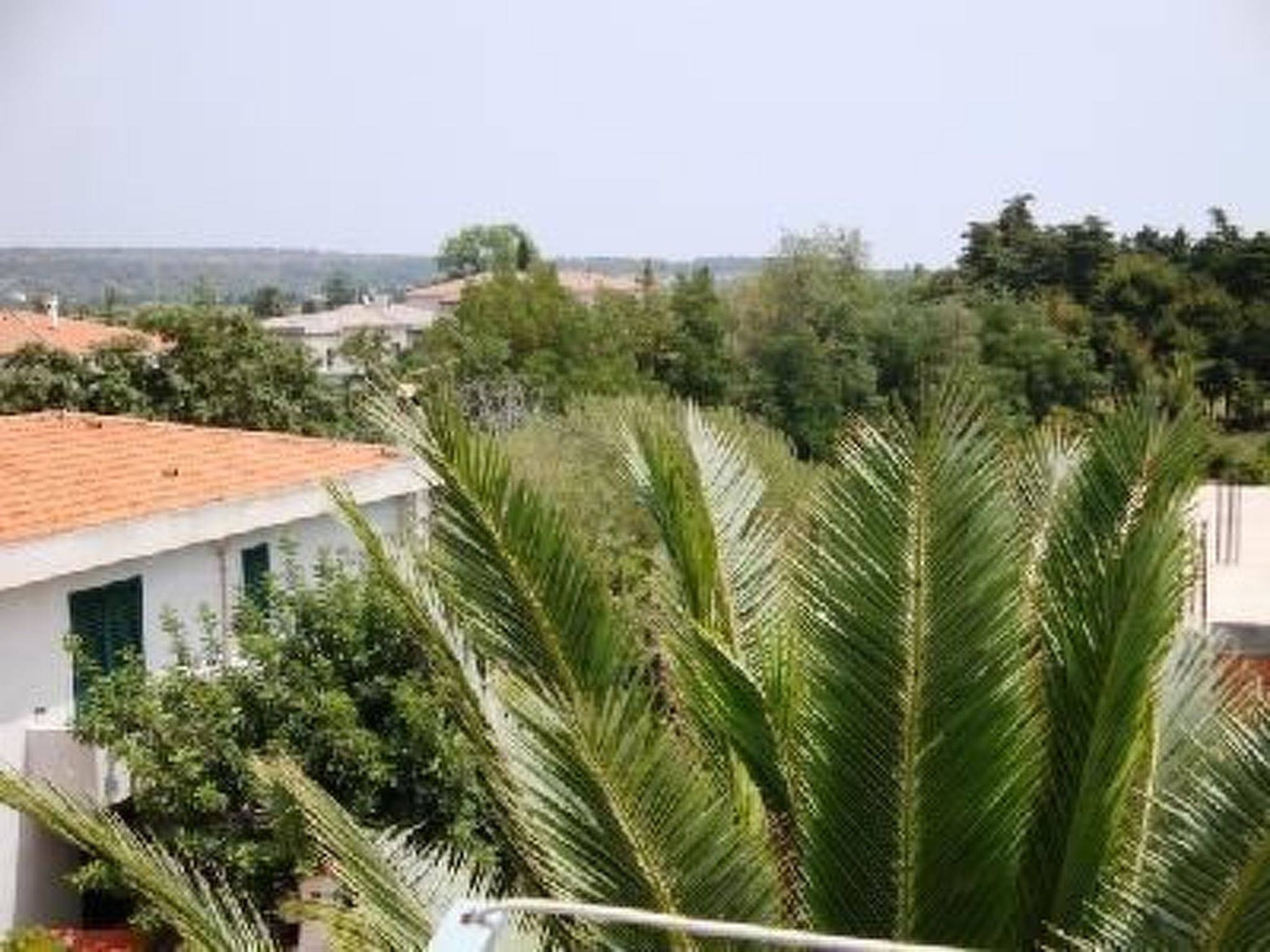 Agave-Image-tags.info