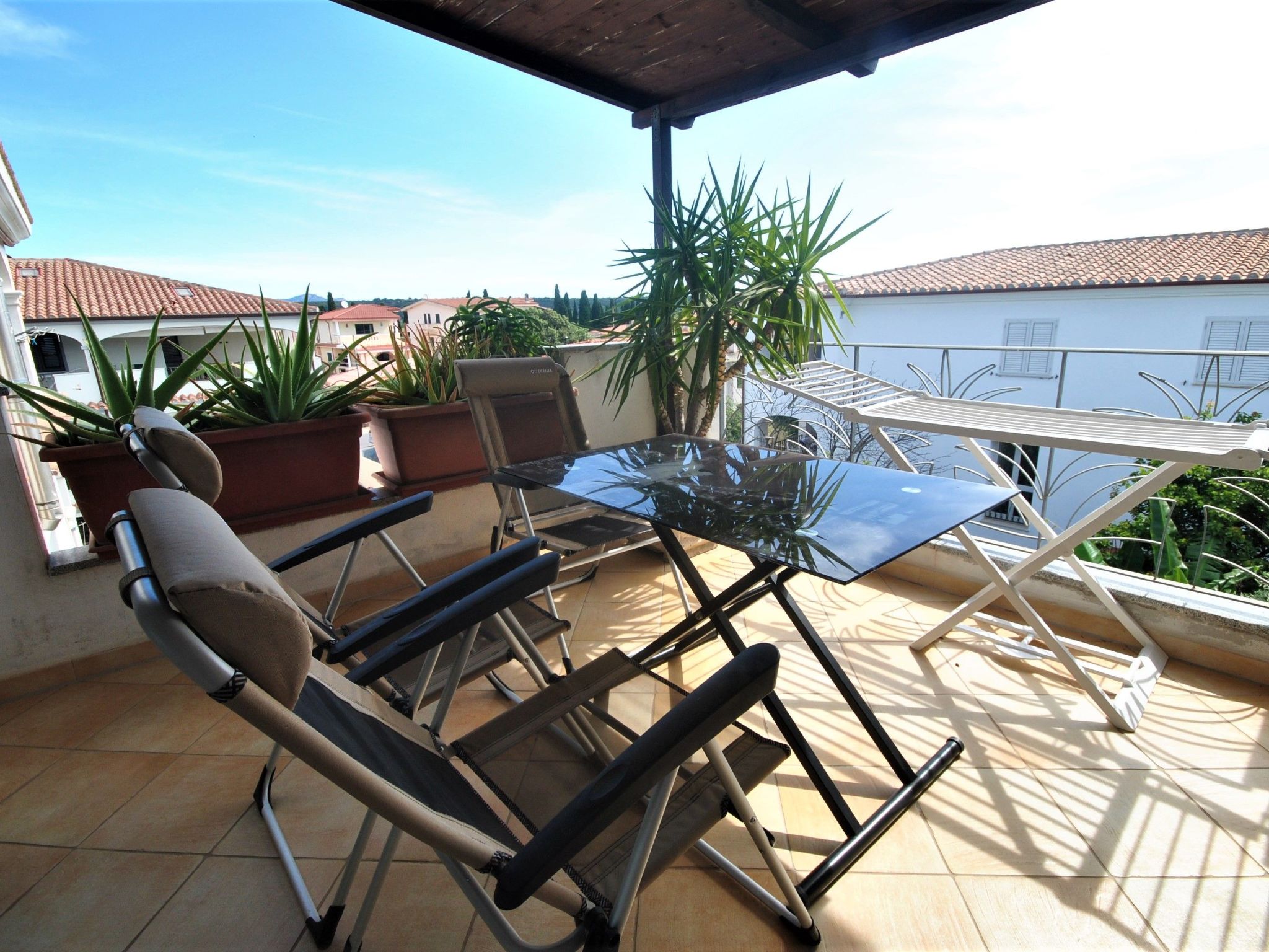 Agave-Image-tags.info