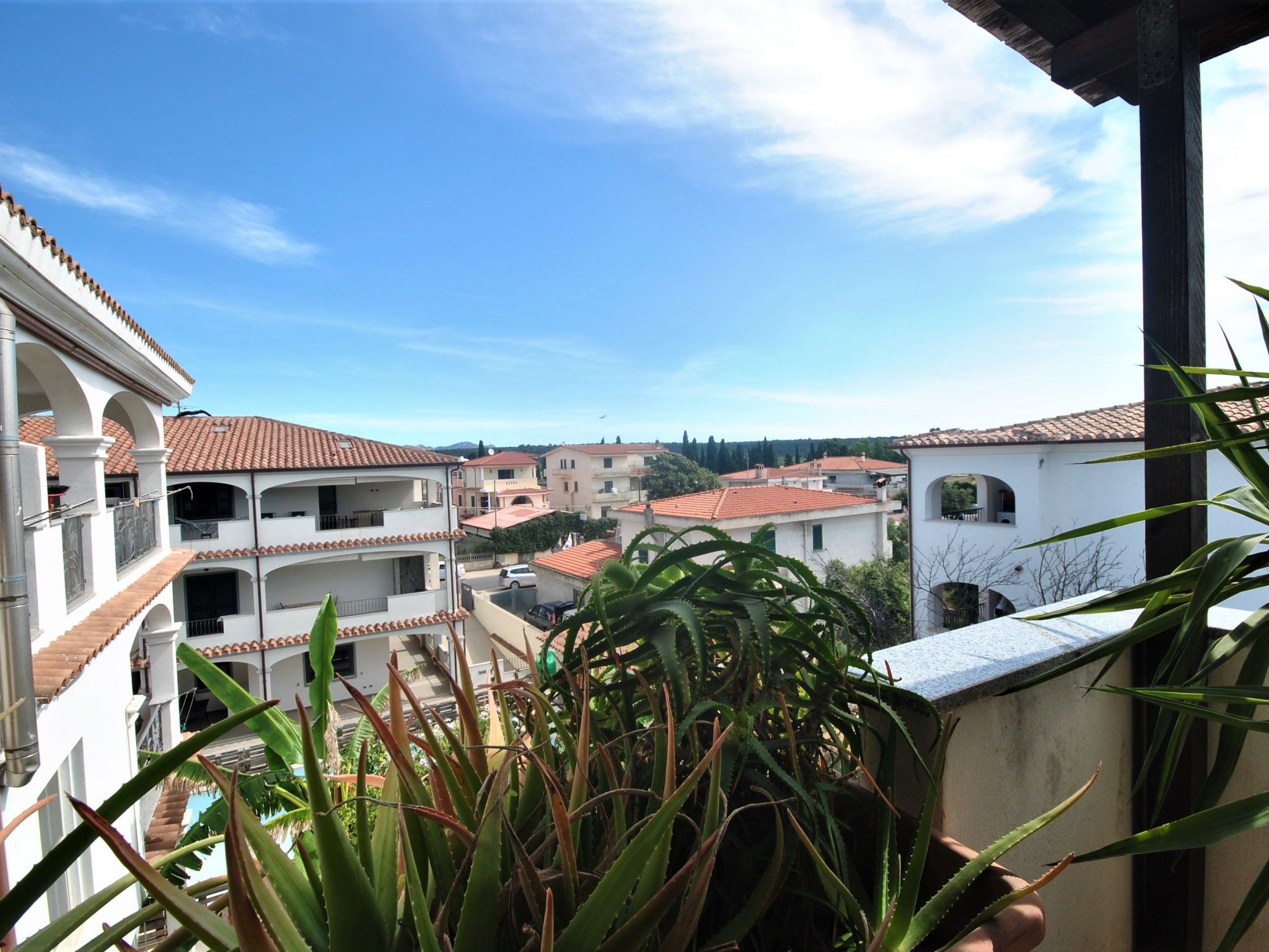 Agave-Image-tags.info