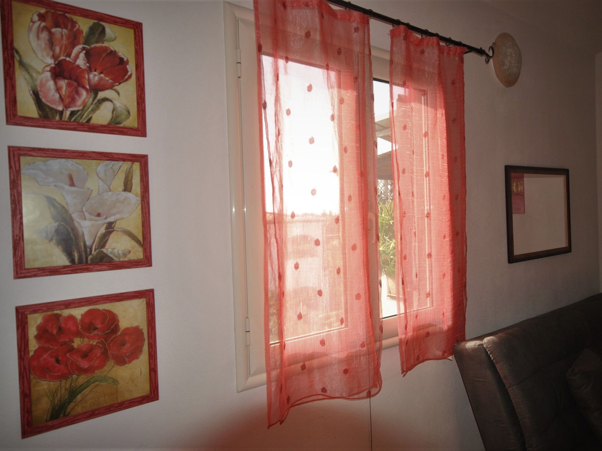 Agave-Image-tags.info