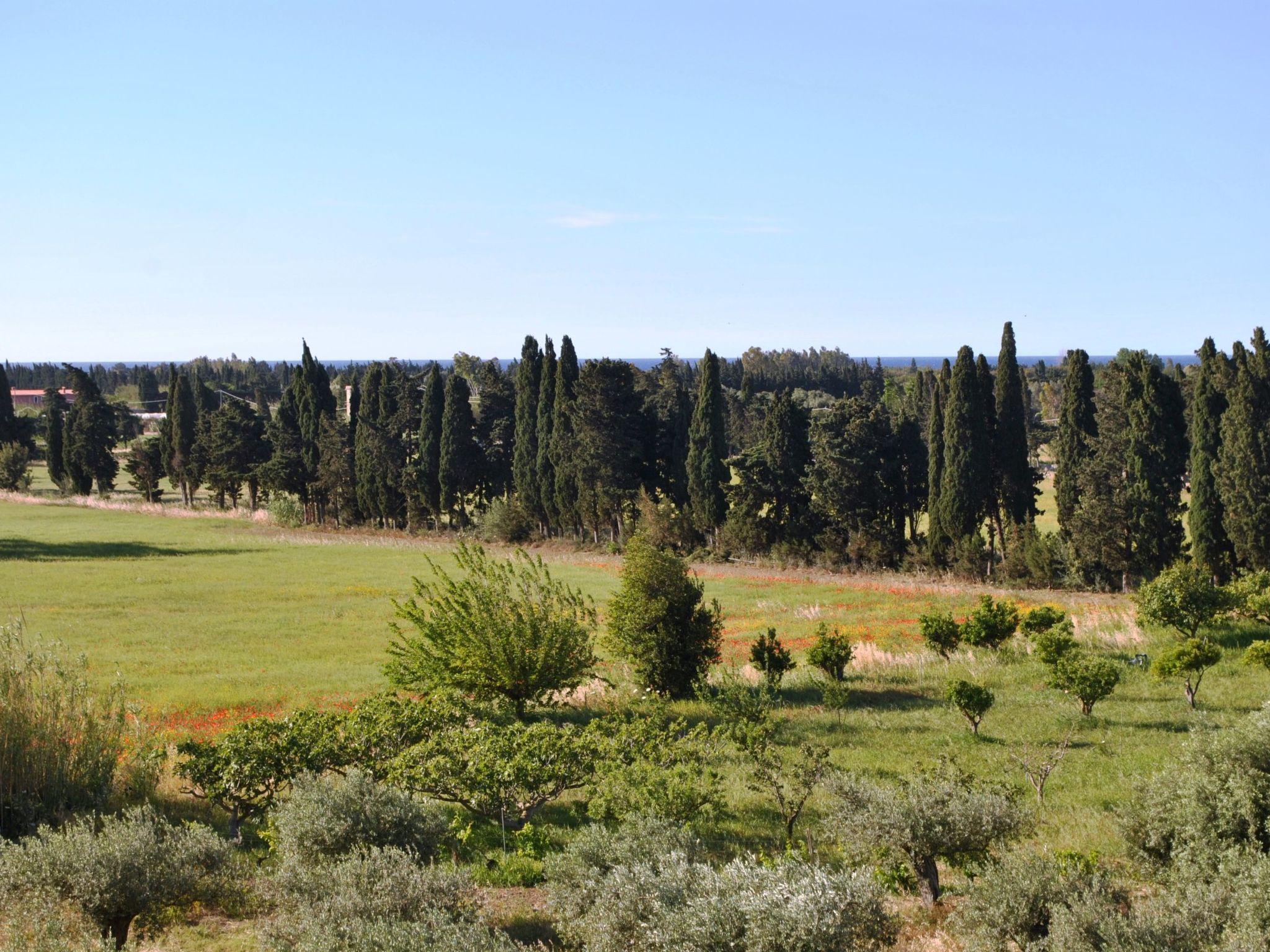 Panorama Suite-Image-tags.info