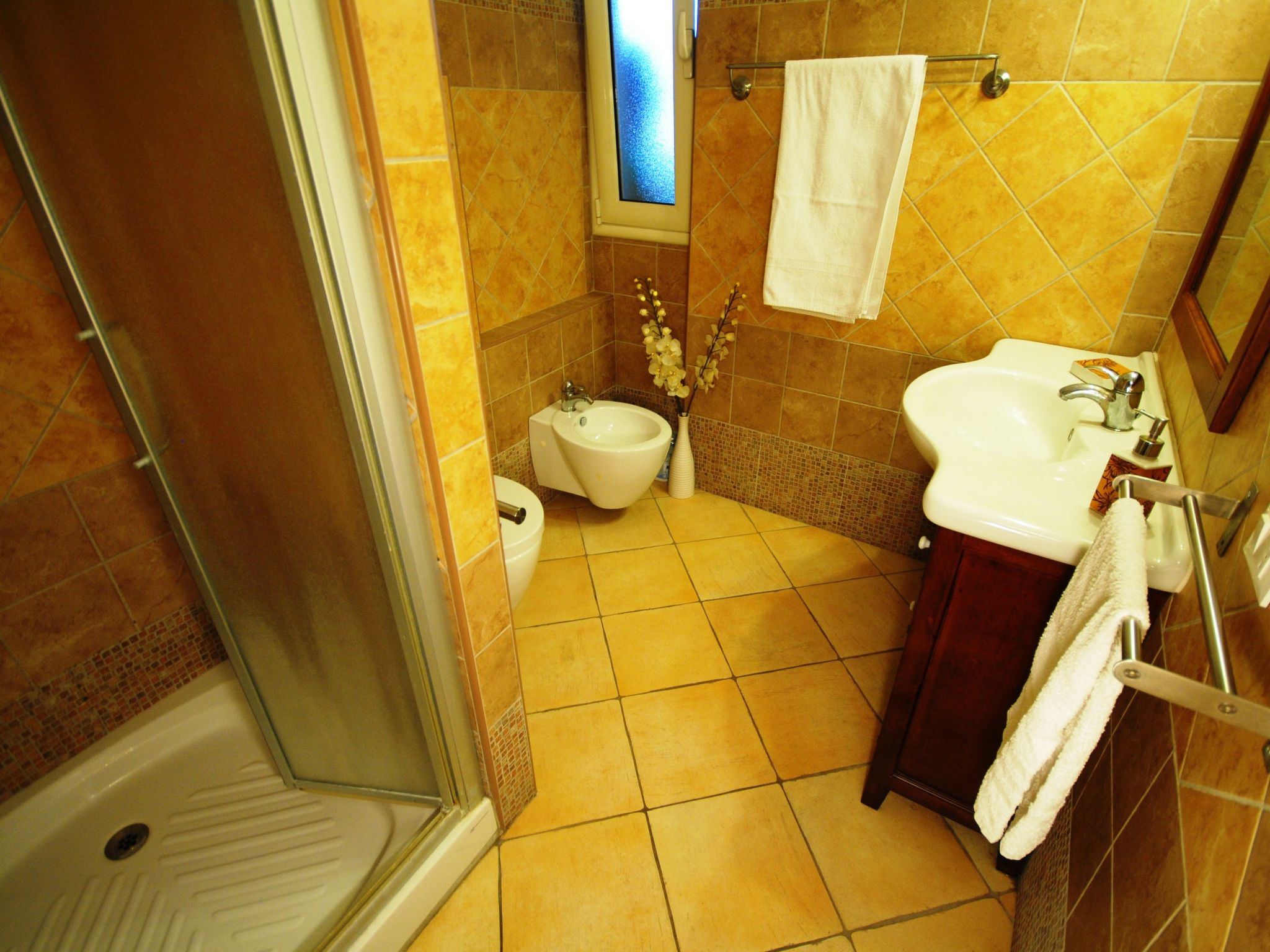 Panorama Suite-Image-tags.info