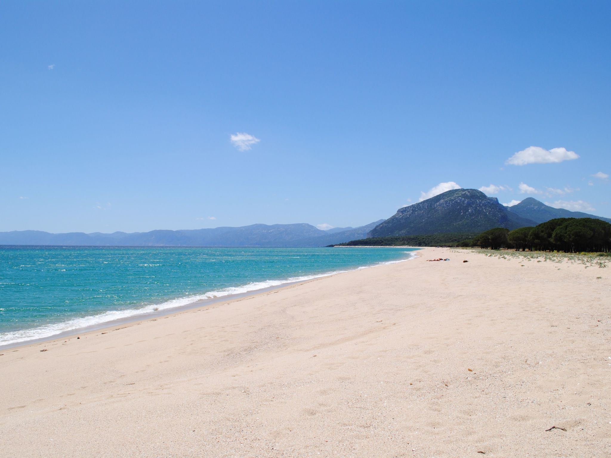 Panorama Suite-Image-tags.info