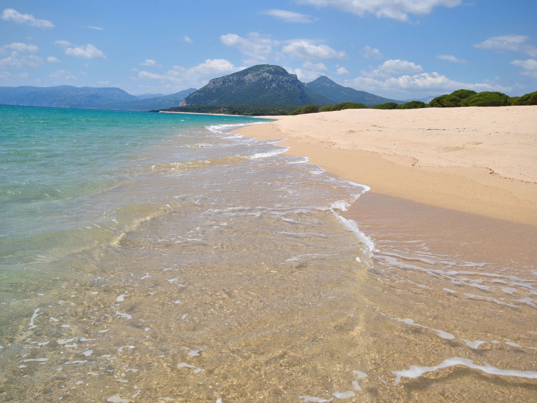 Panorama Suite-Image-tags.info