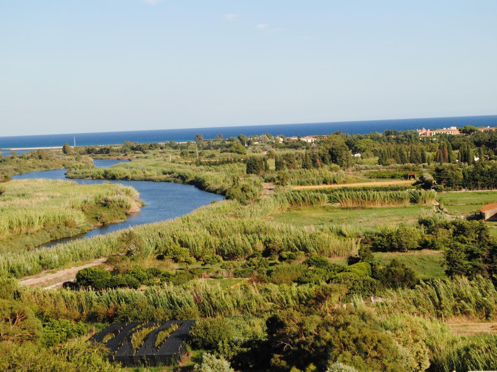 Menta-Image-tags.info