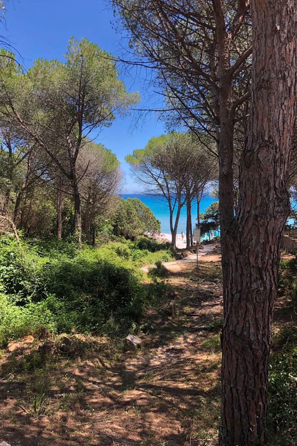 4Pax Sas Linnas Siccas Orosei-Image-tags.info