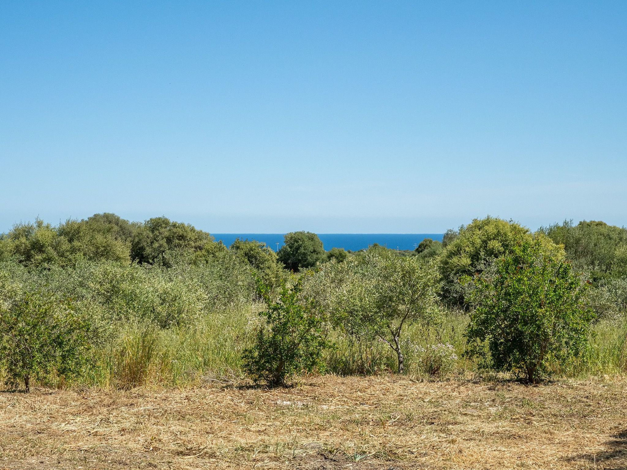 Villa Sae Grecu in Orosei-Image-tags.info