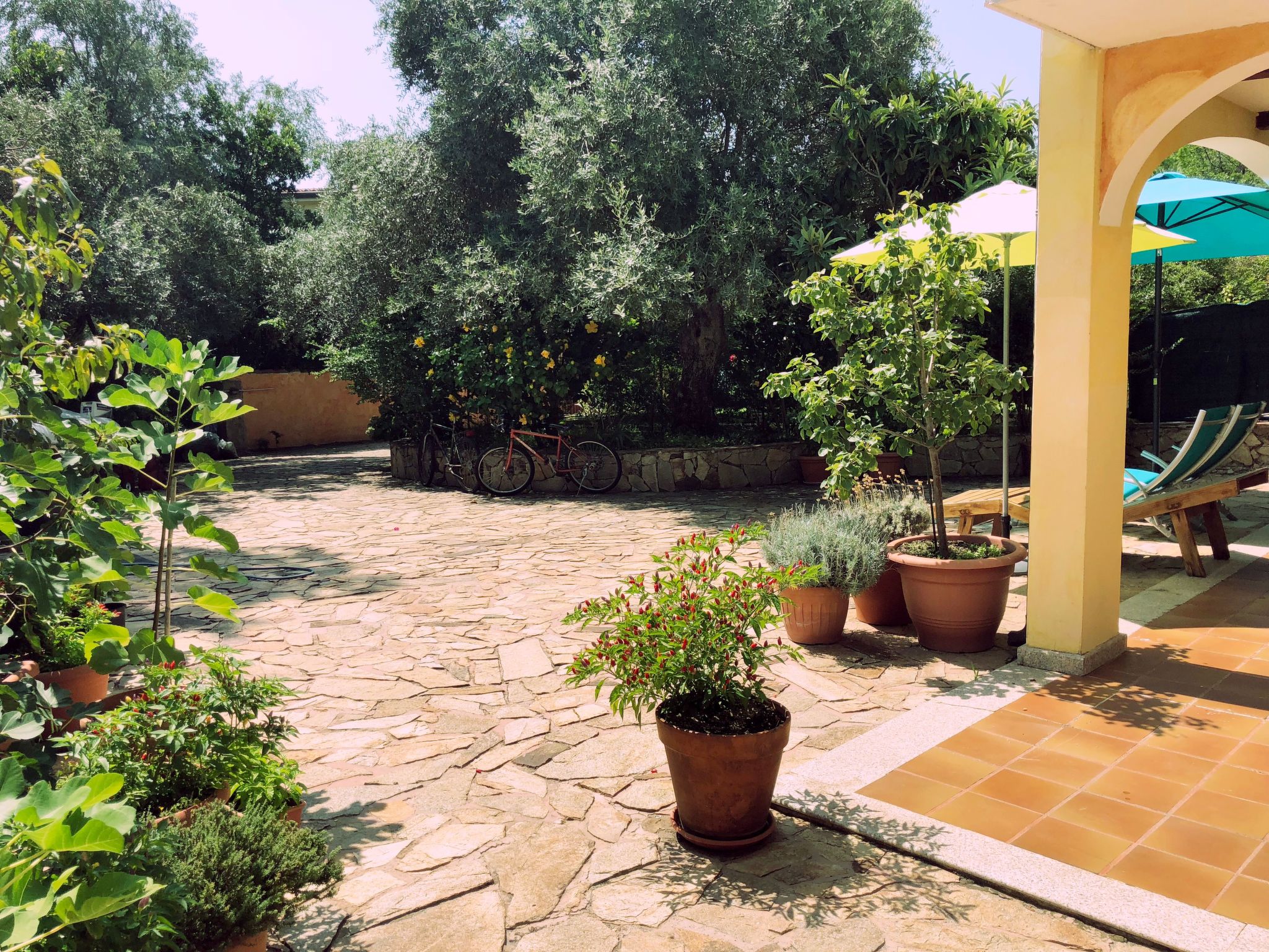 4Pax Sas Linnas Siccas Orosei-Outside