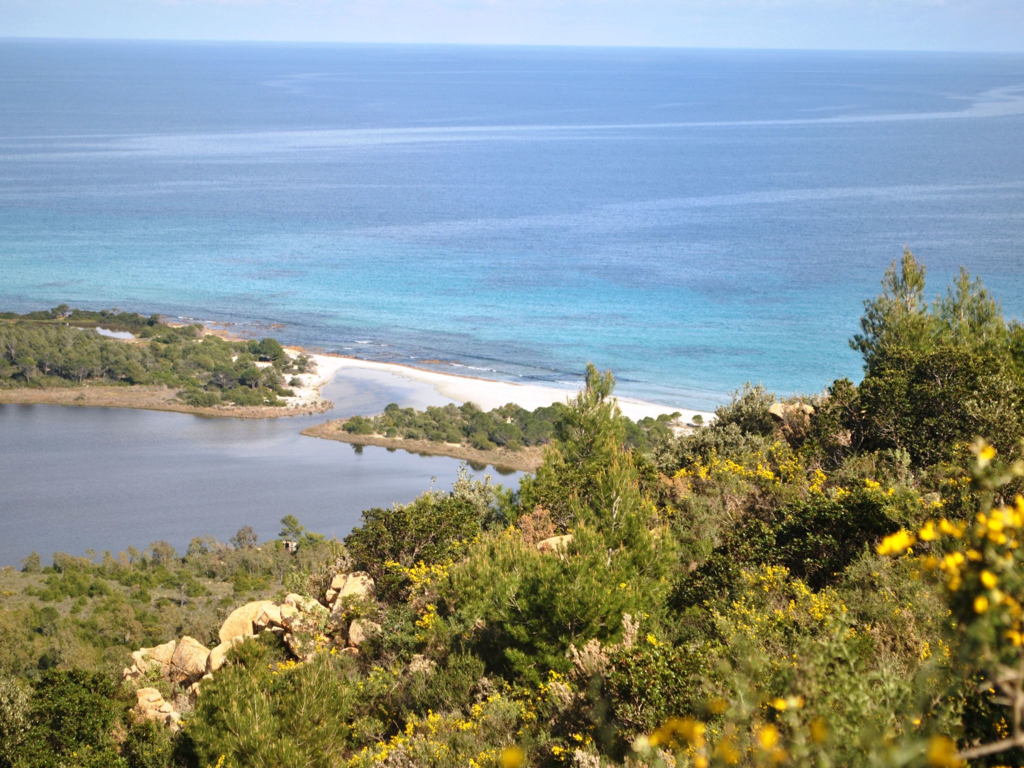 Azzurra-Image-tags.info