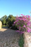 Anania: Authentiek vrijstaand huis op 5000m² grond, 1,5km van zee in Sardinië - thumbnail 5