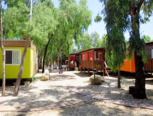 4 Mori, Colorful (MUV106)