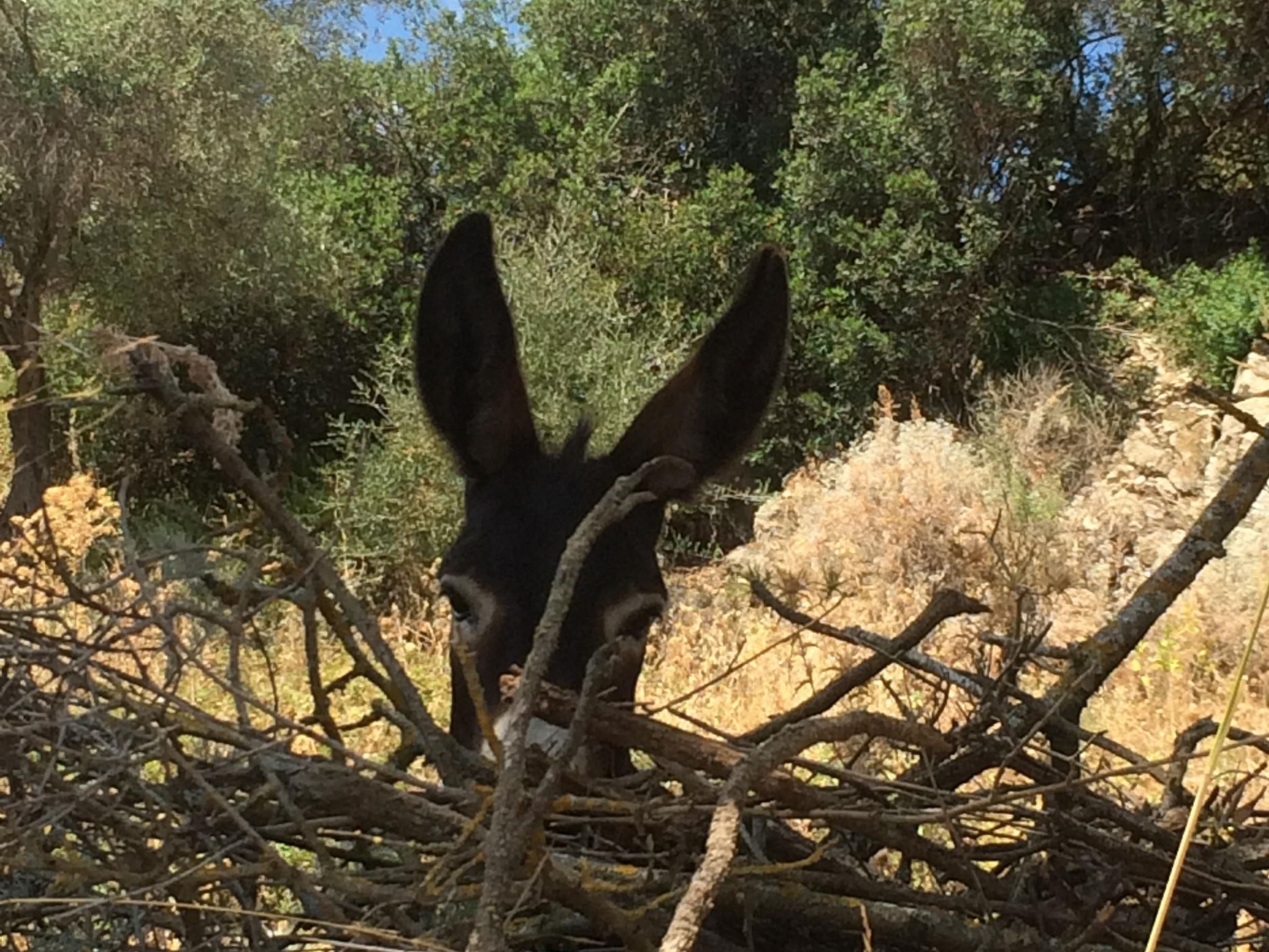 Gemütliches Ferienhaus mit Kamin in Porto Tramatzu-Binnen